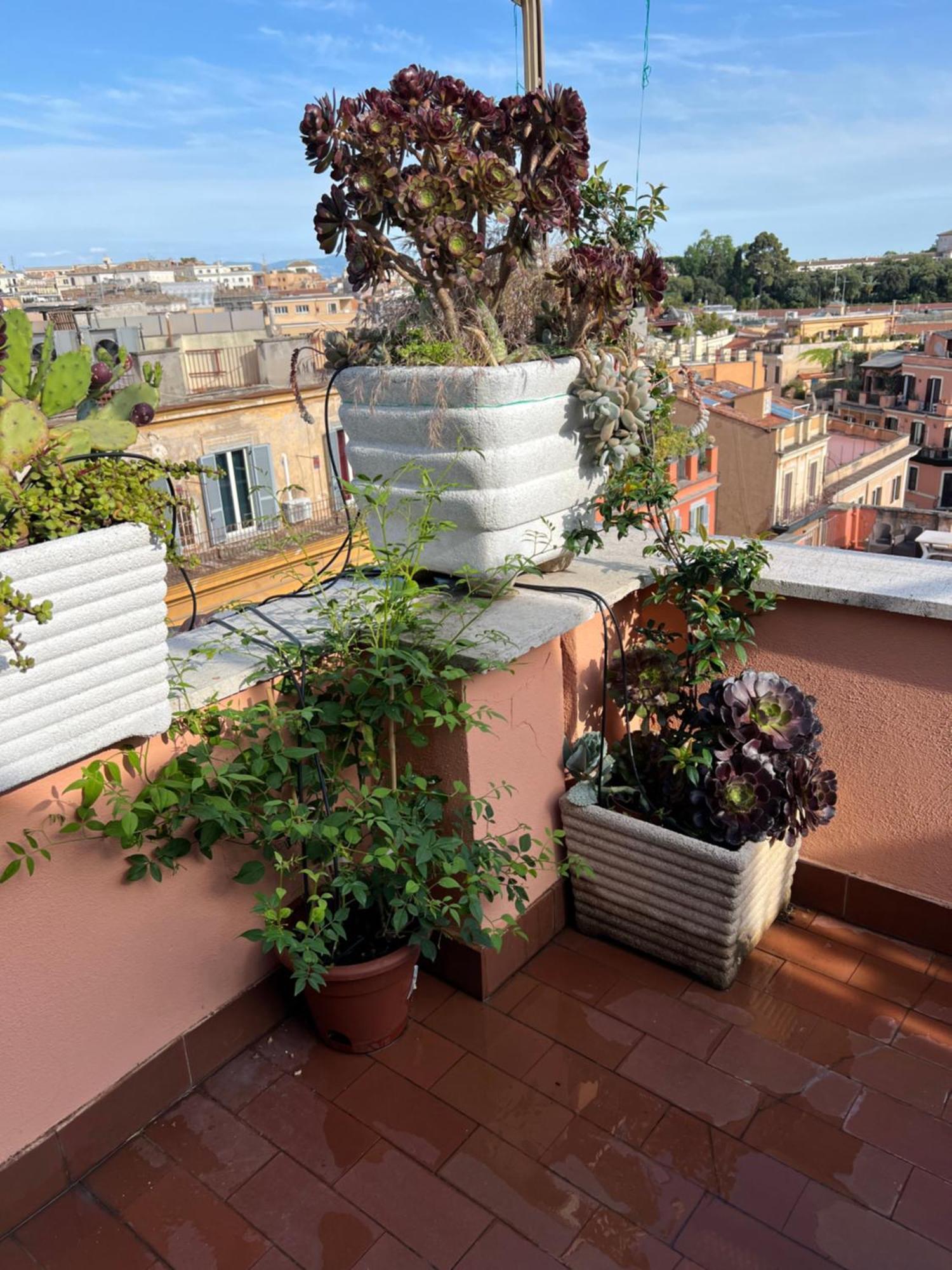 Appartamento Spanish Steps View *