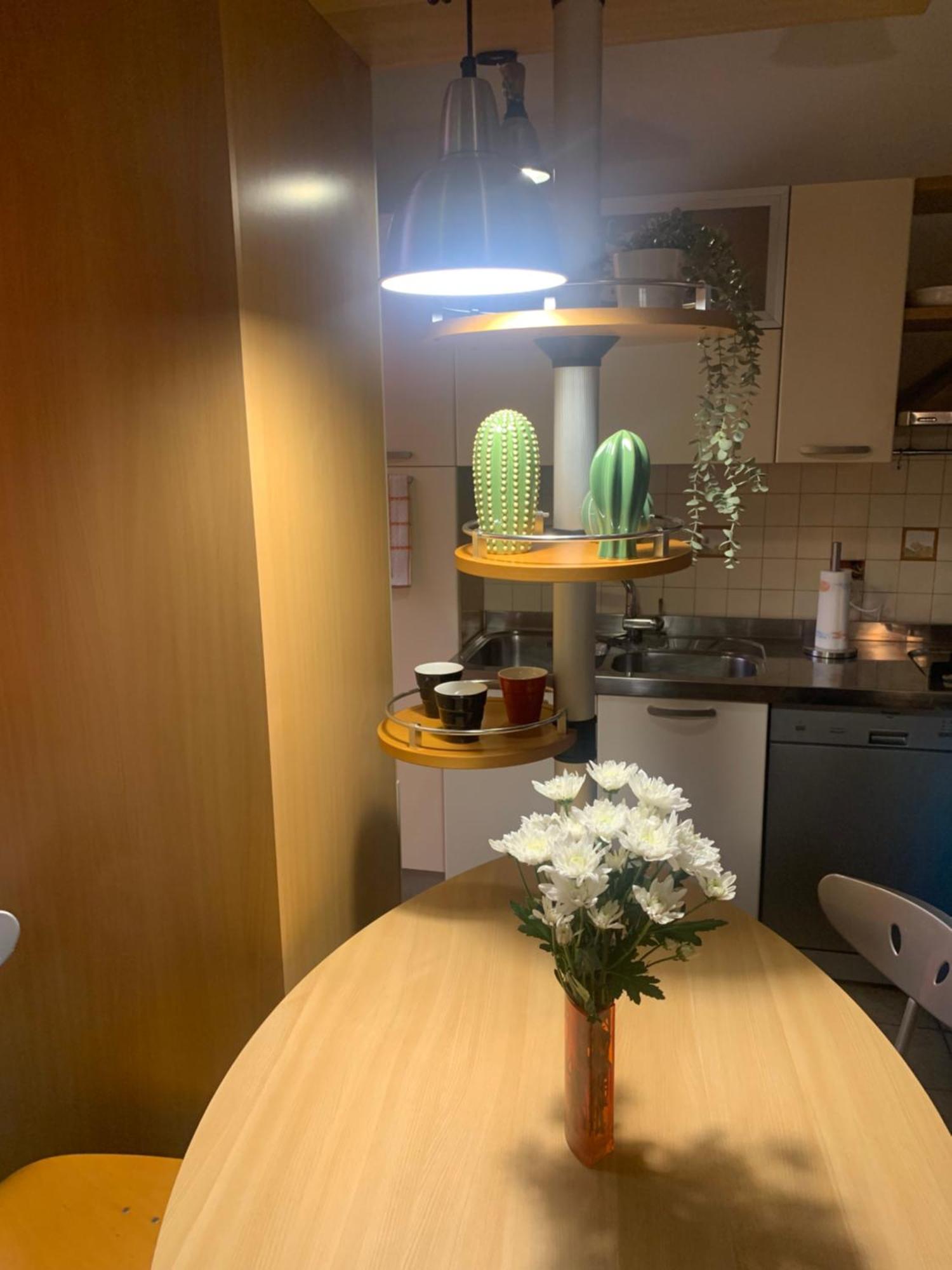 Domus Laura Monteverde Apartment Rome