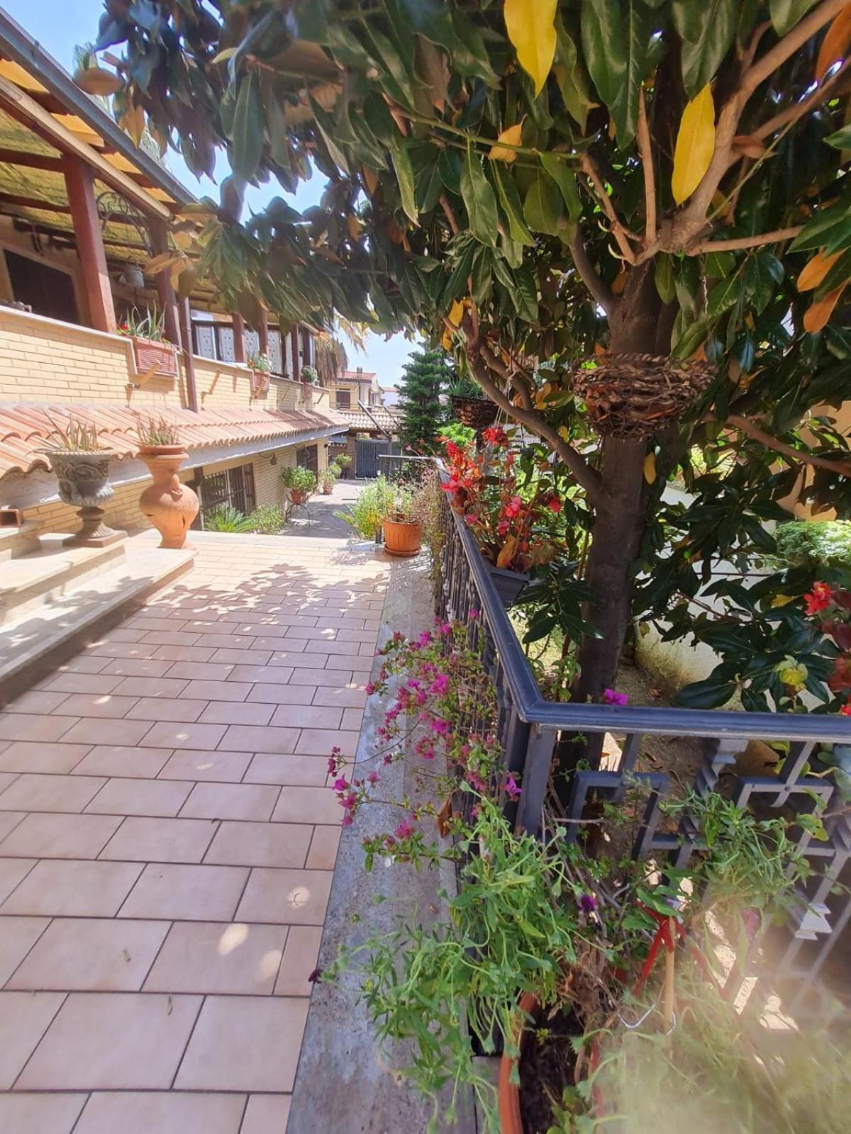 Holiday home Mattei Dreams *