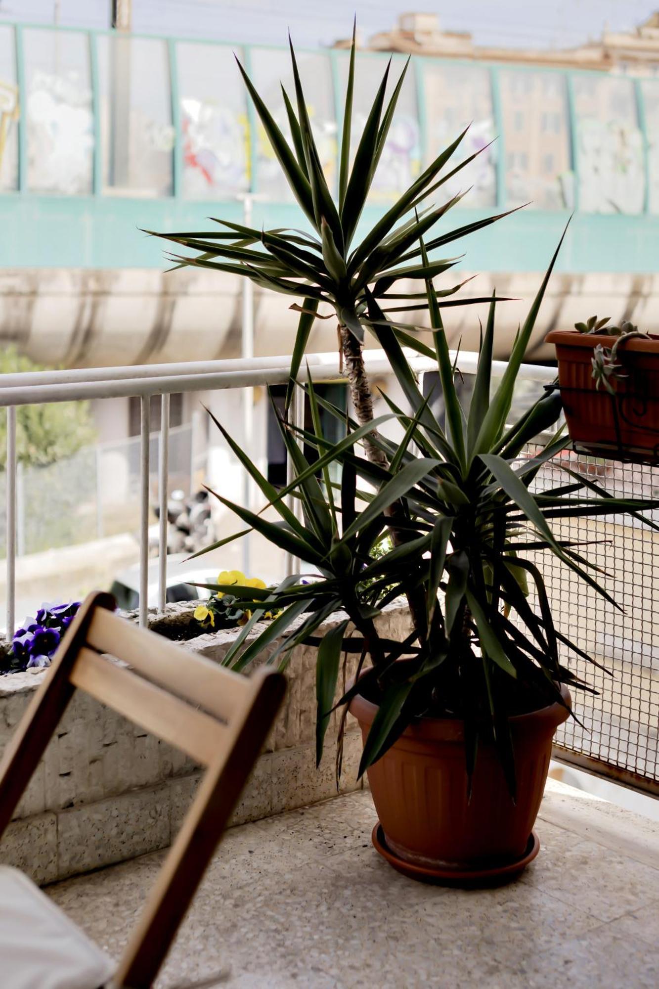 Vatican View Apartment