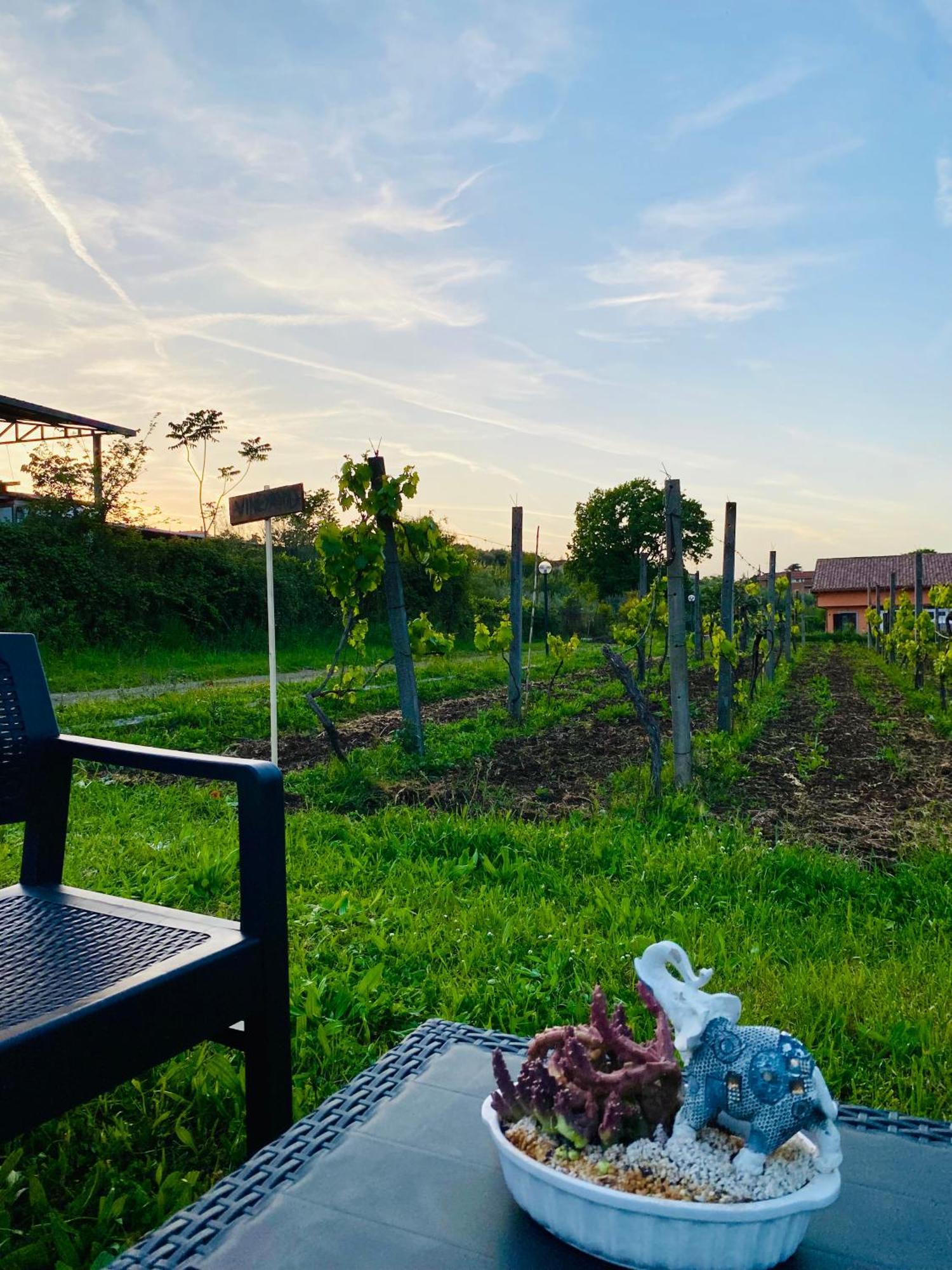 Holiday home Bubu, Country-chic