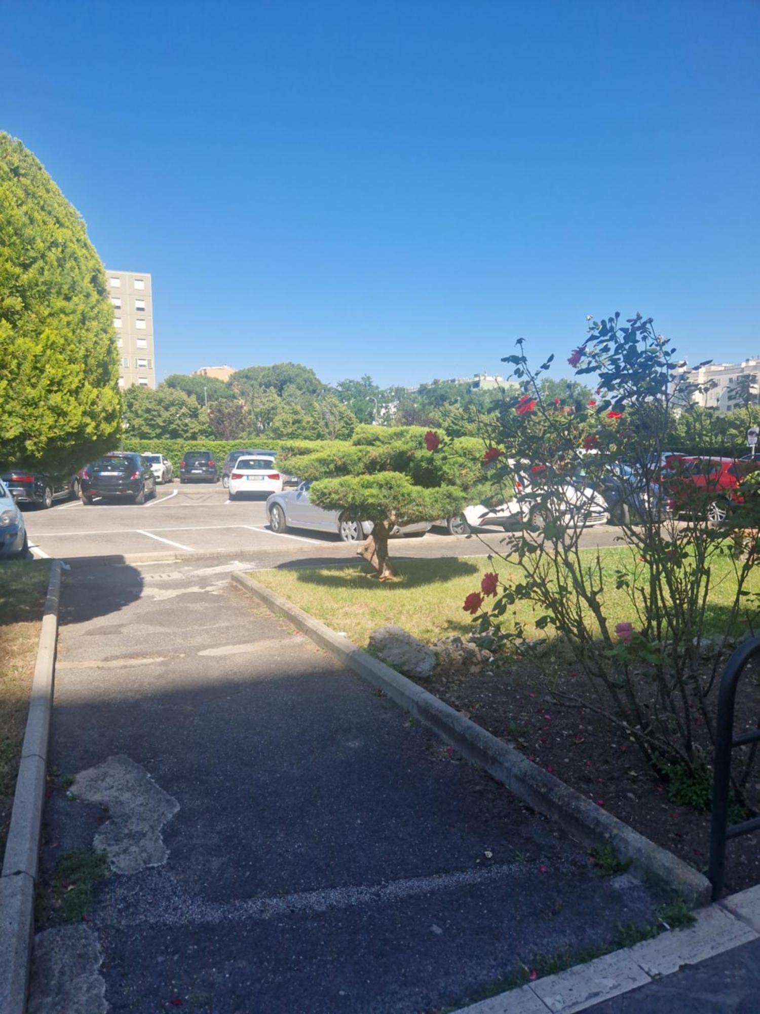 La Casa Dell'ulivo * Rome