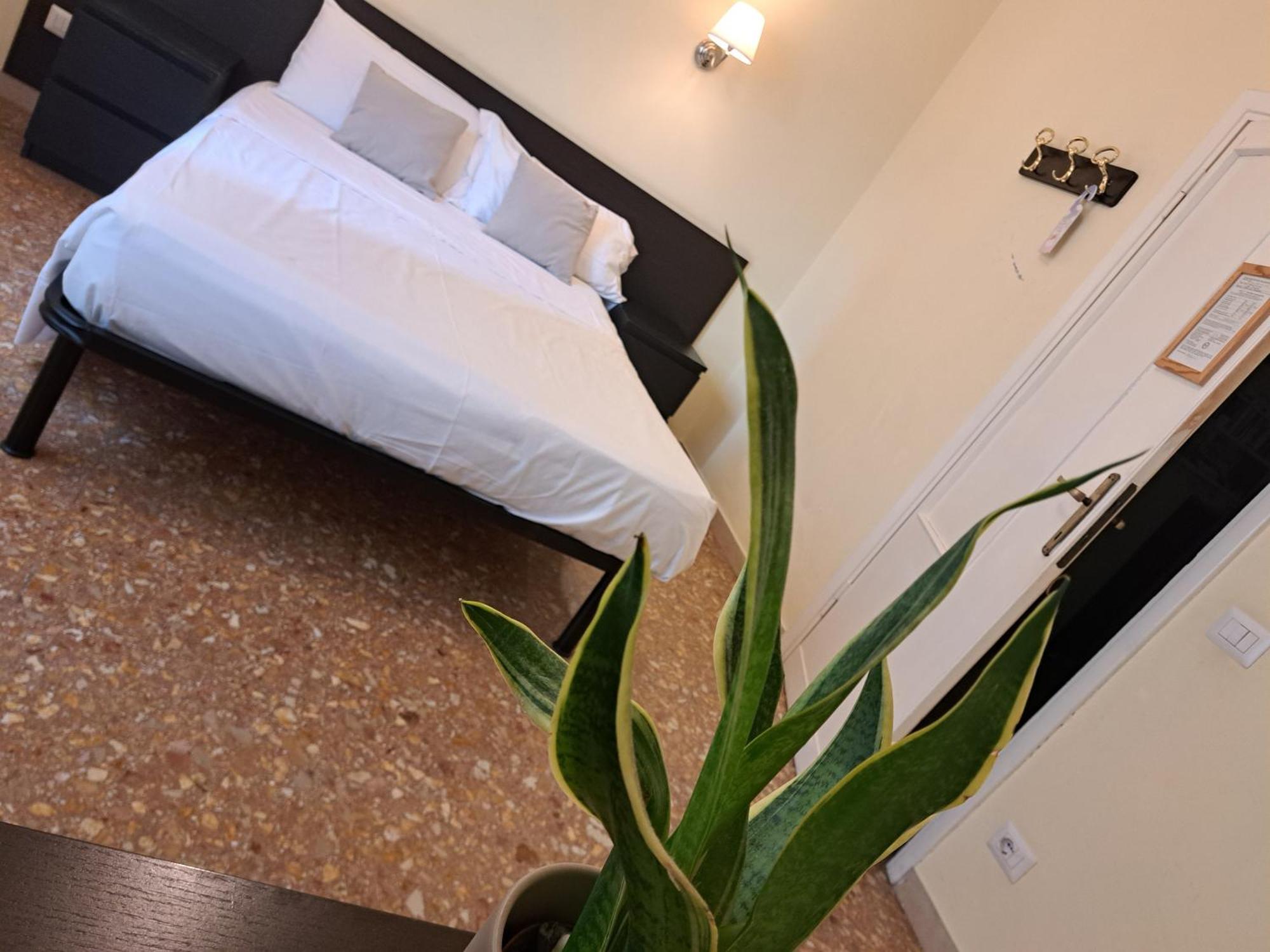 Eco Marela * Rome