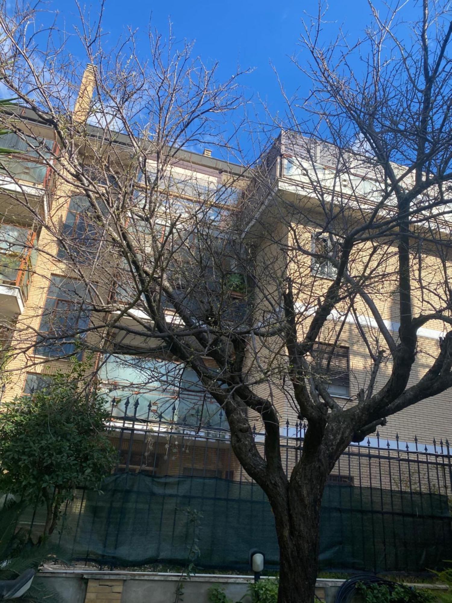 Casa Colibri Apartment