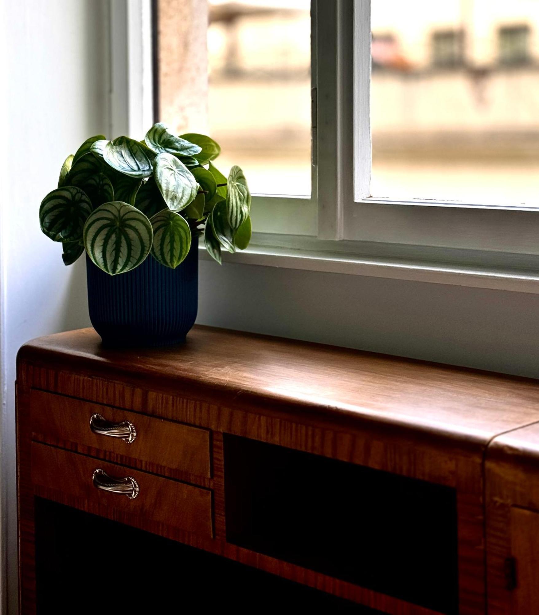 Flaminio Blues, Cozy Flat Near Piazza Del Popolo Rome