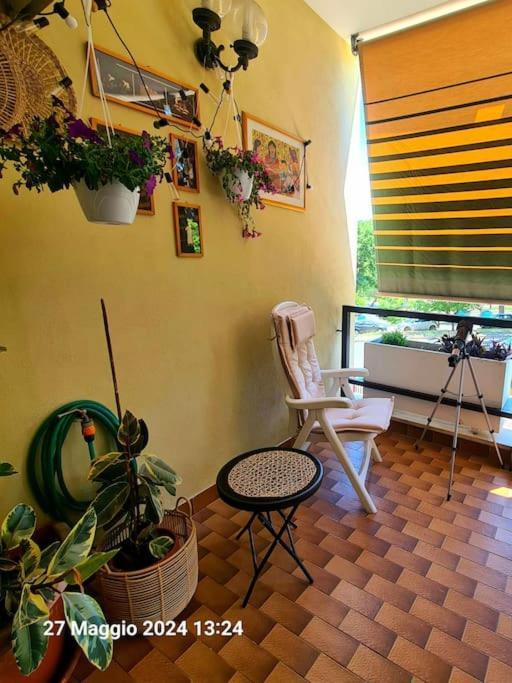 Domus Vincentis Eur -space&light - Center In 20min