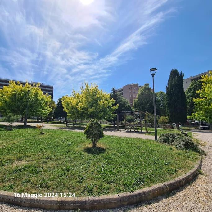 Domus Vincentis Eur -space&light - Center In 20min Apartment