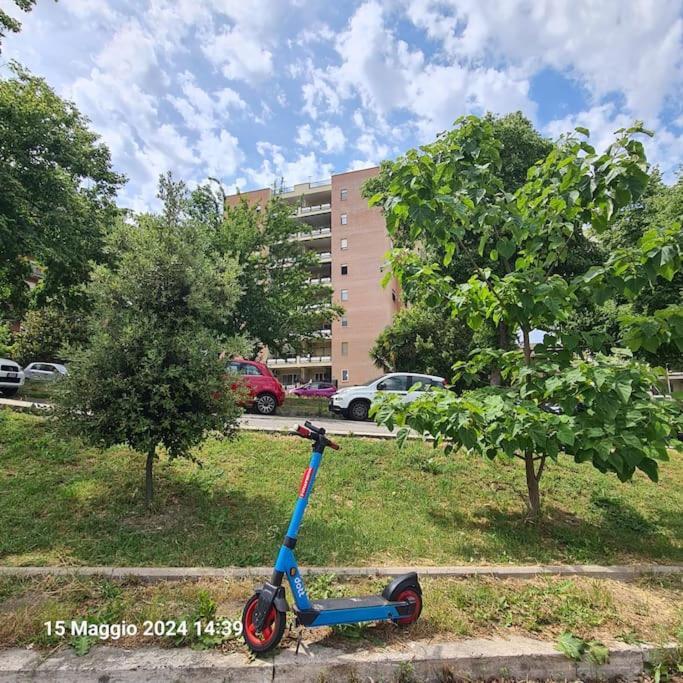 Apartment Domus Vincentis Eur -space&light - Center In 20min Rome