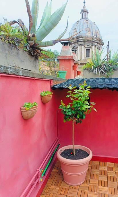 Attico Campo De Fiori Katia Apartment Rome