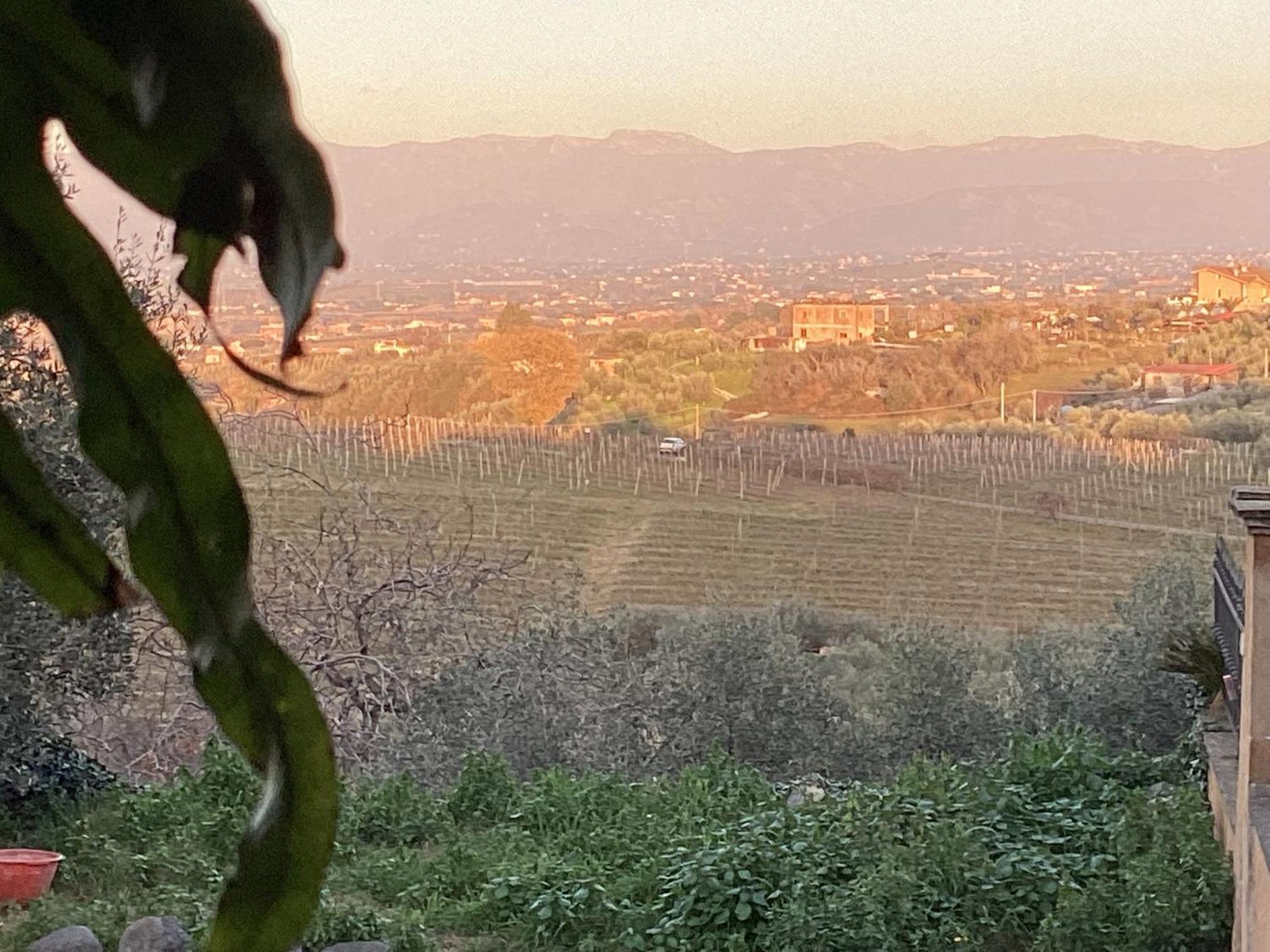 Locazione Turistica Dream House Marzia Holiday home *