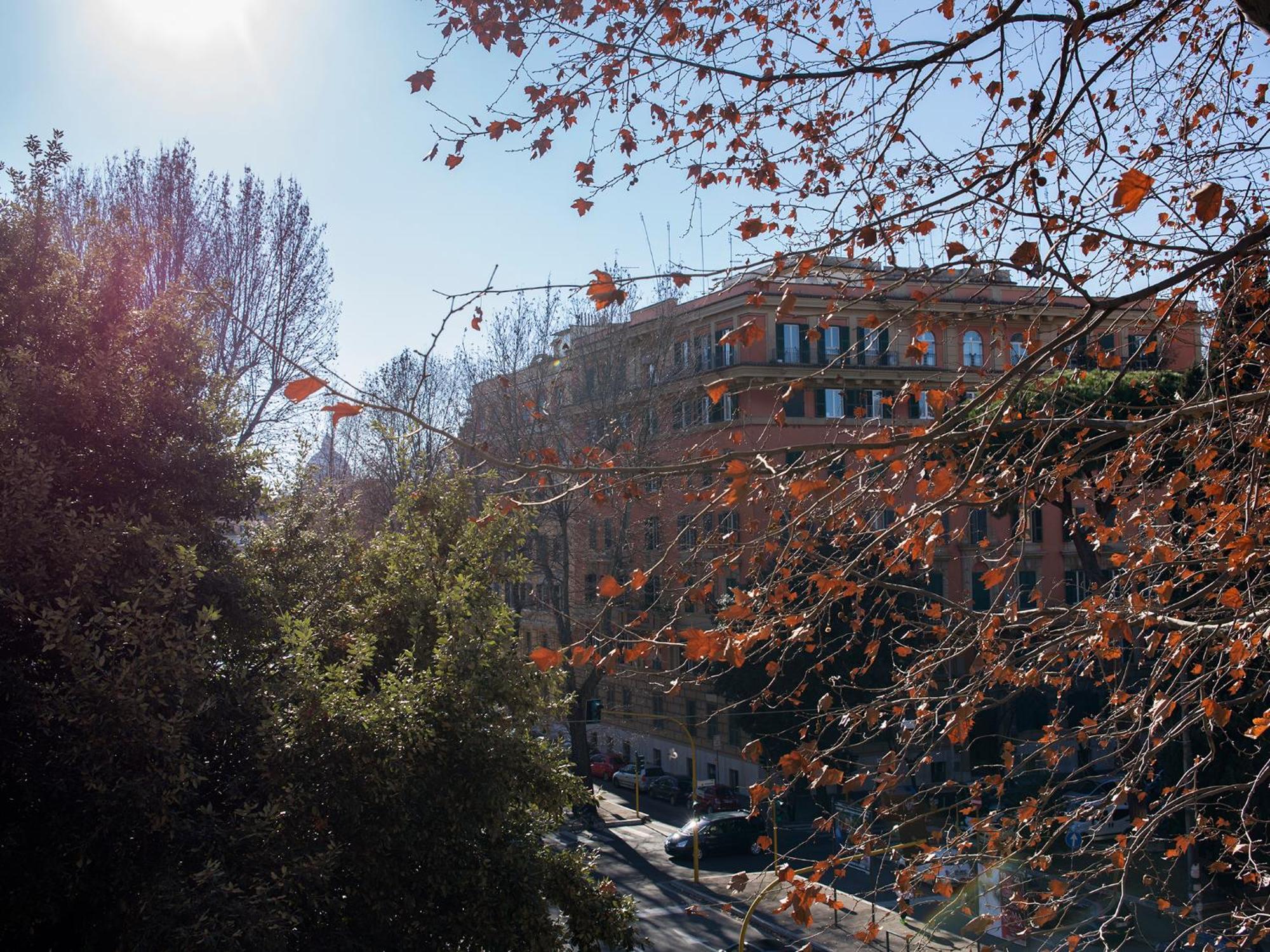 The - Vatican Apartment