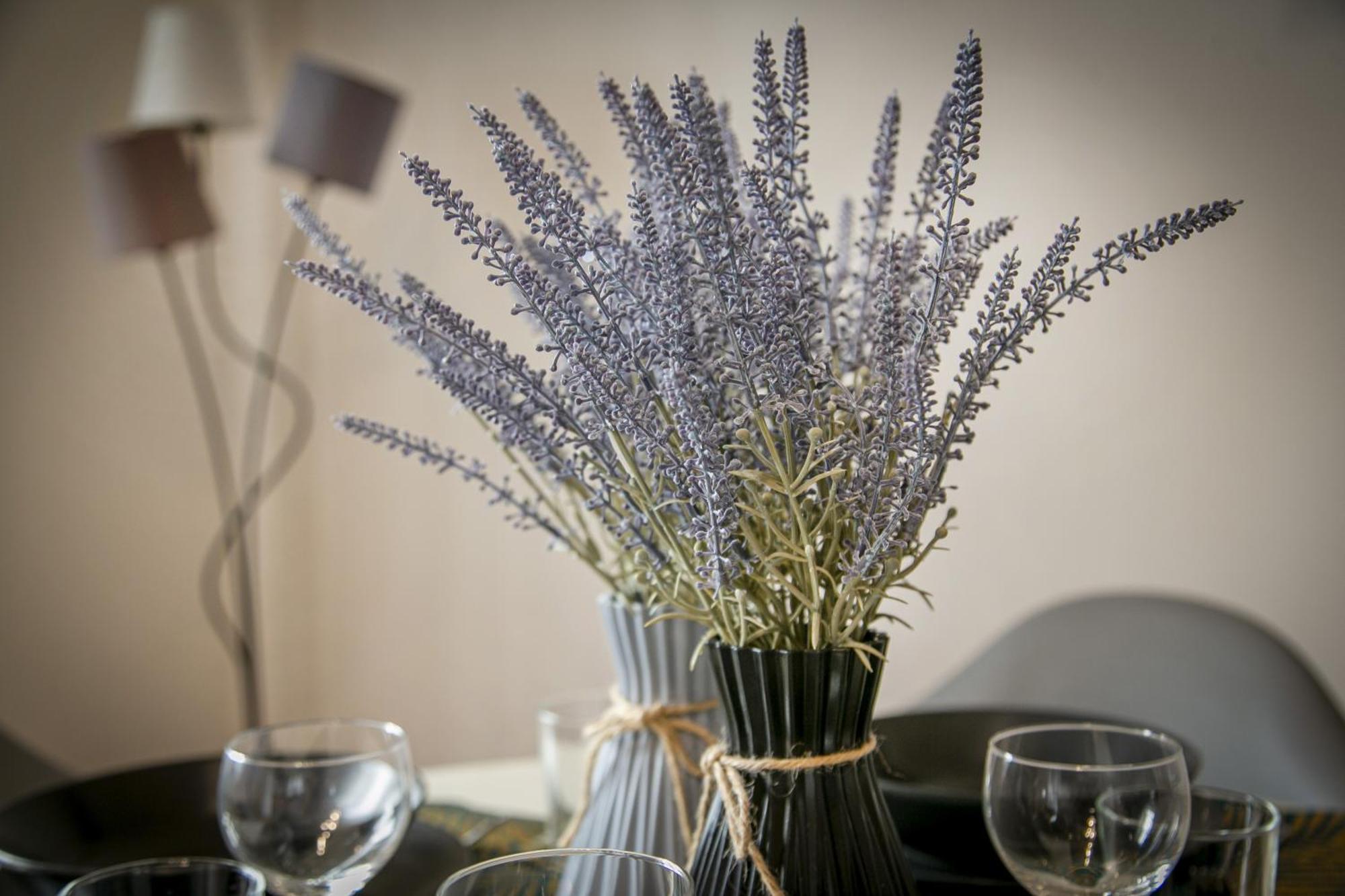 Apartment Flamilla Next To Vatican Museums *