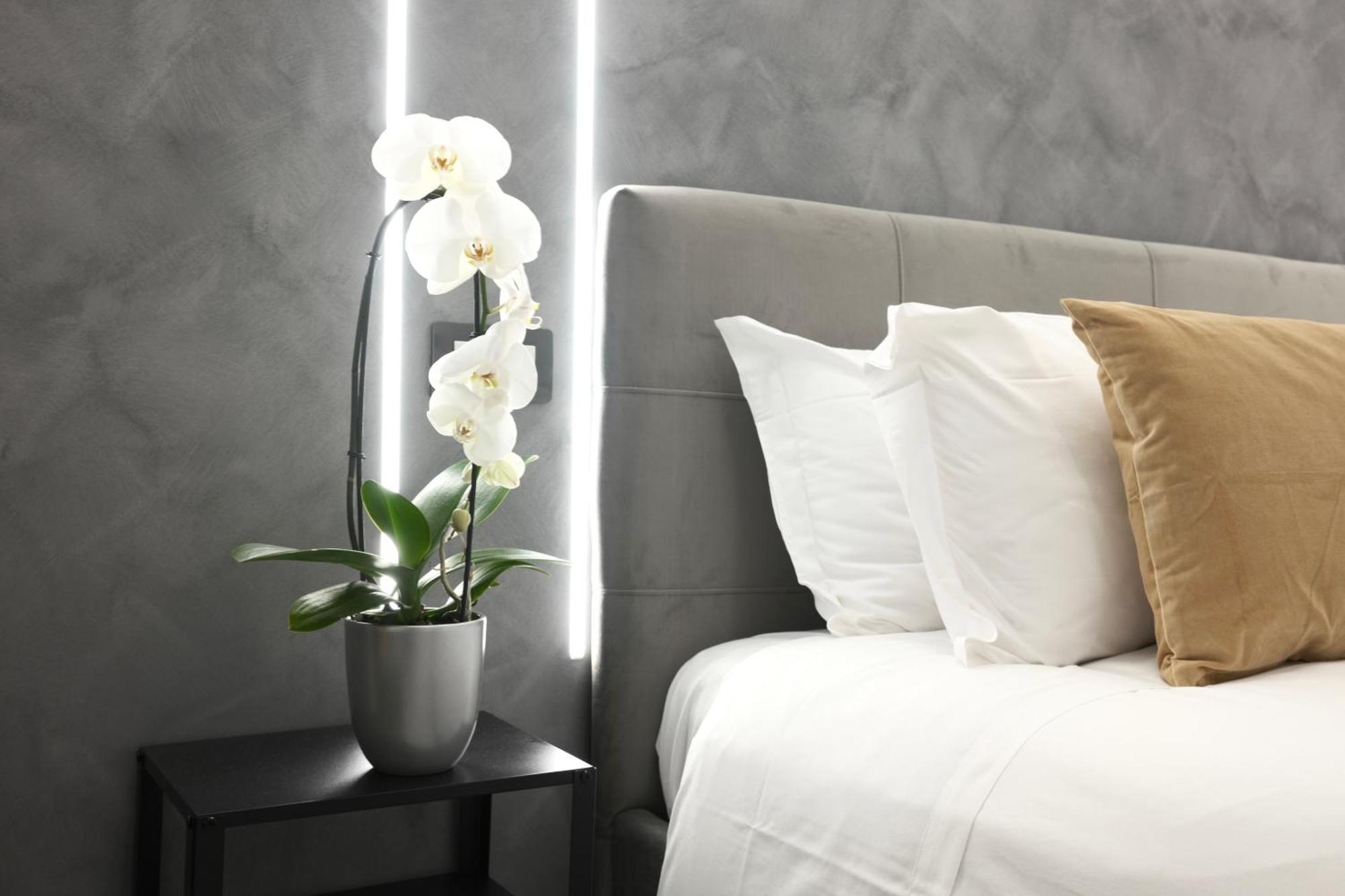 Turati Guest house