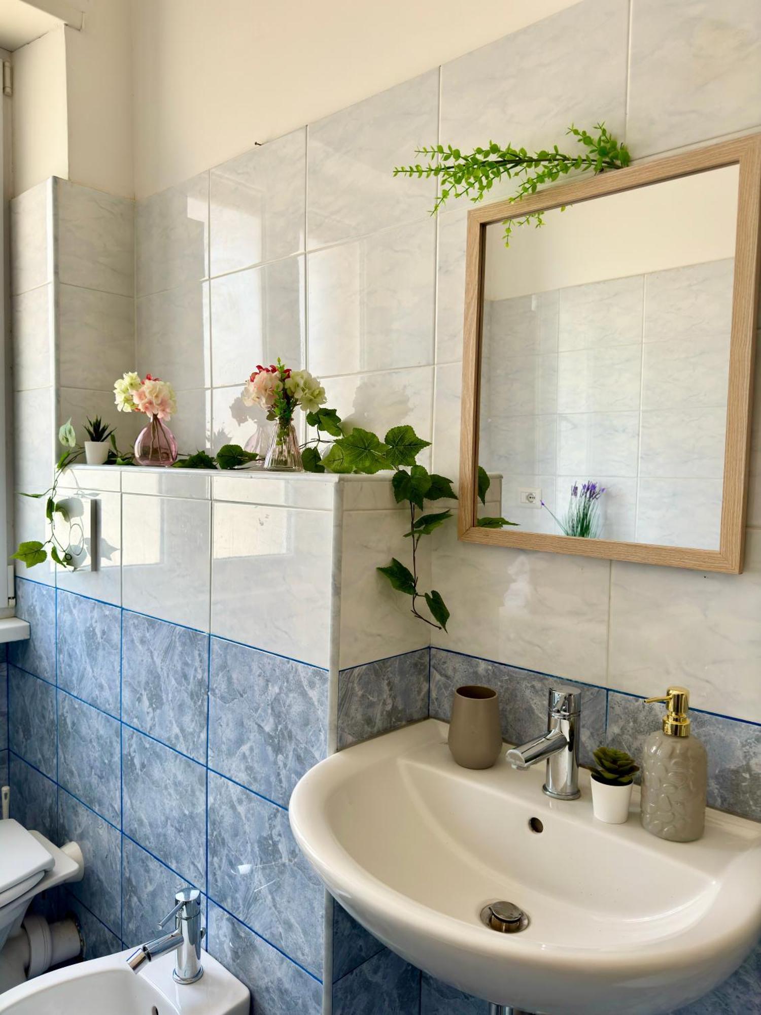 Apartment Dreams In St Peter S - Near Vaticano *
