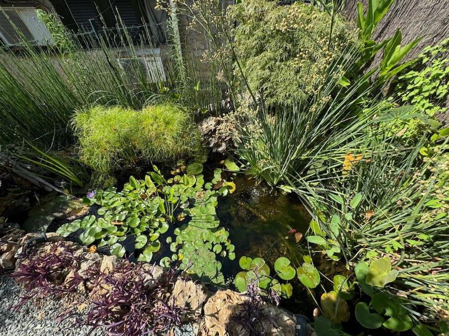 Appartamento Casa Indipendente Con Vista Acquedotto Roma