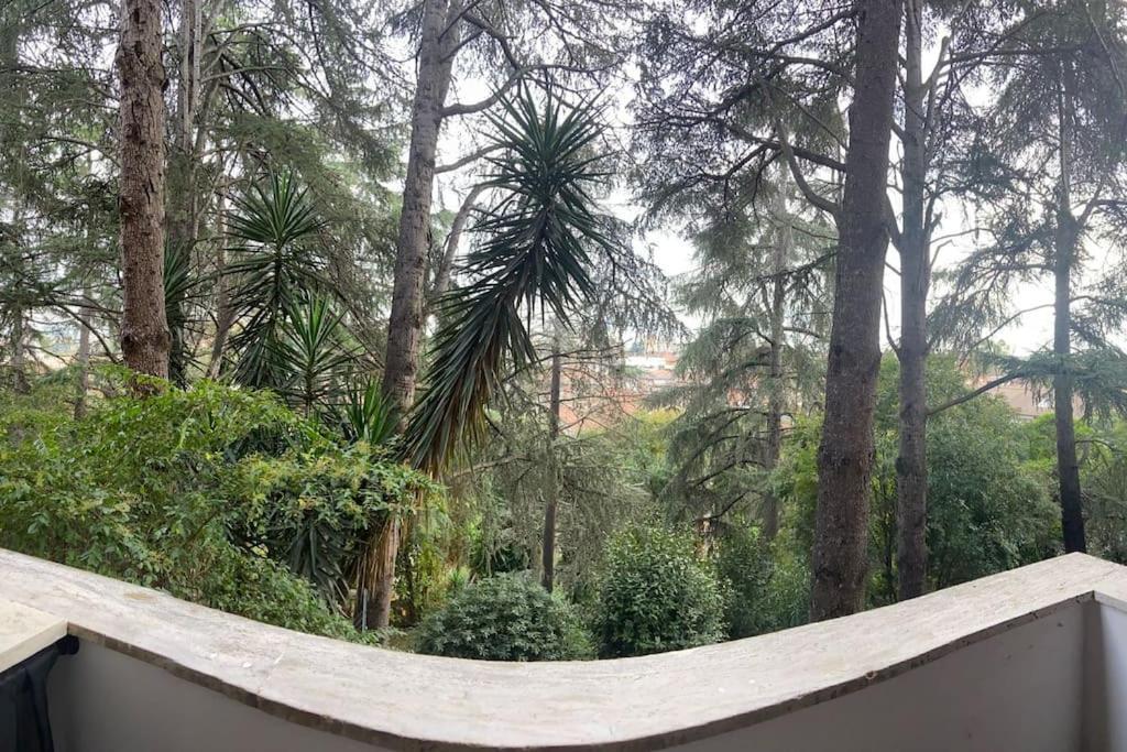 Appartamento Eur Trepini Luxury Loft *