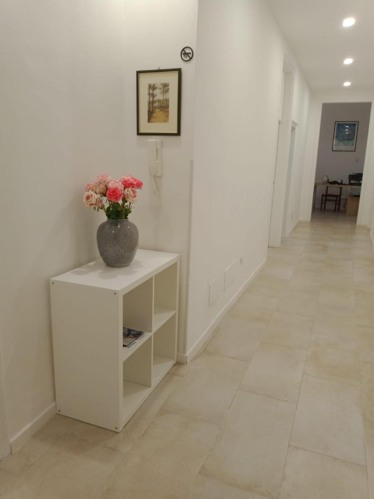 Raynova Guest house *