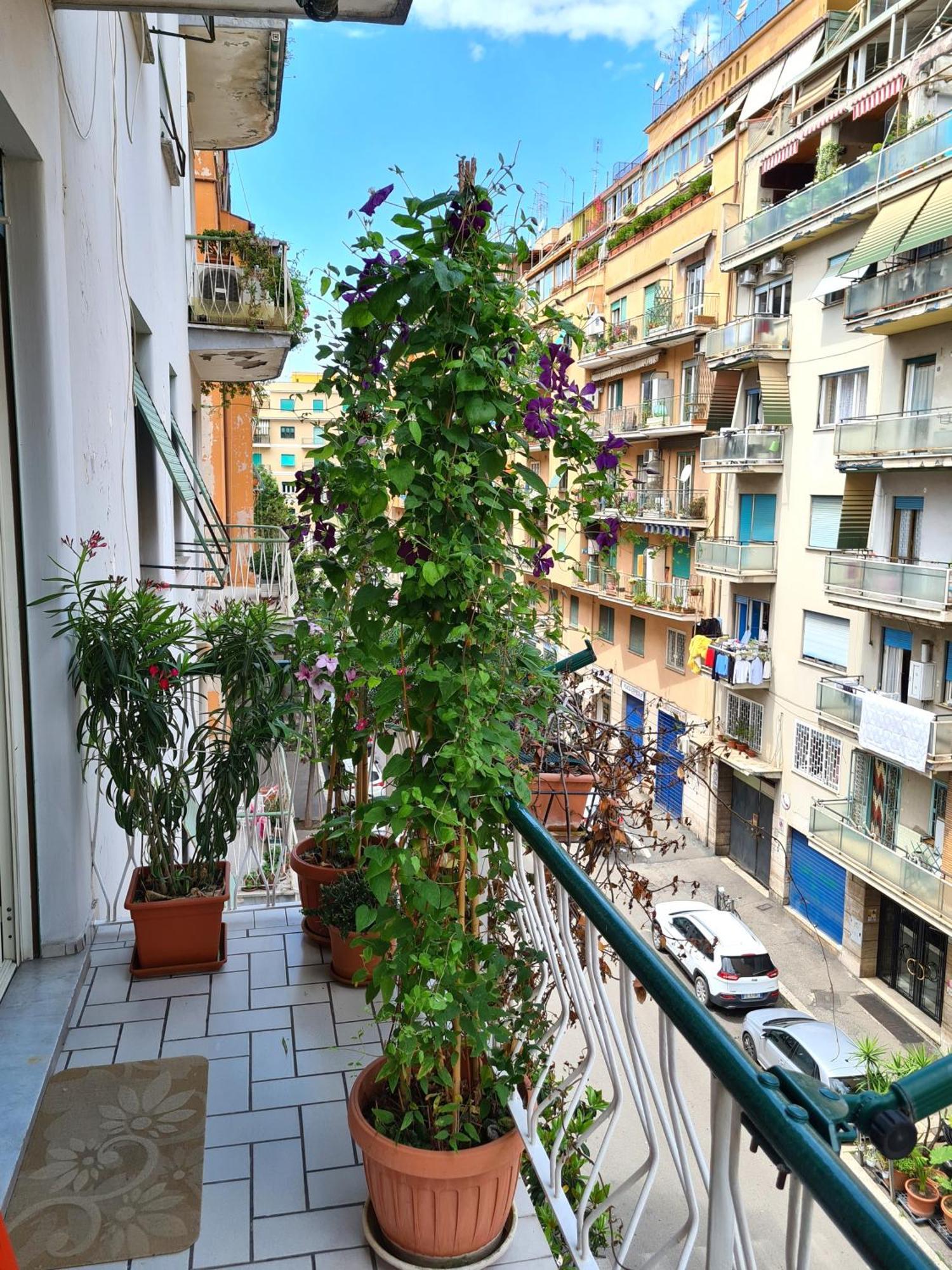 Private Room In Shared Flat *