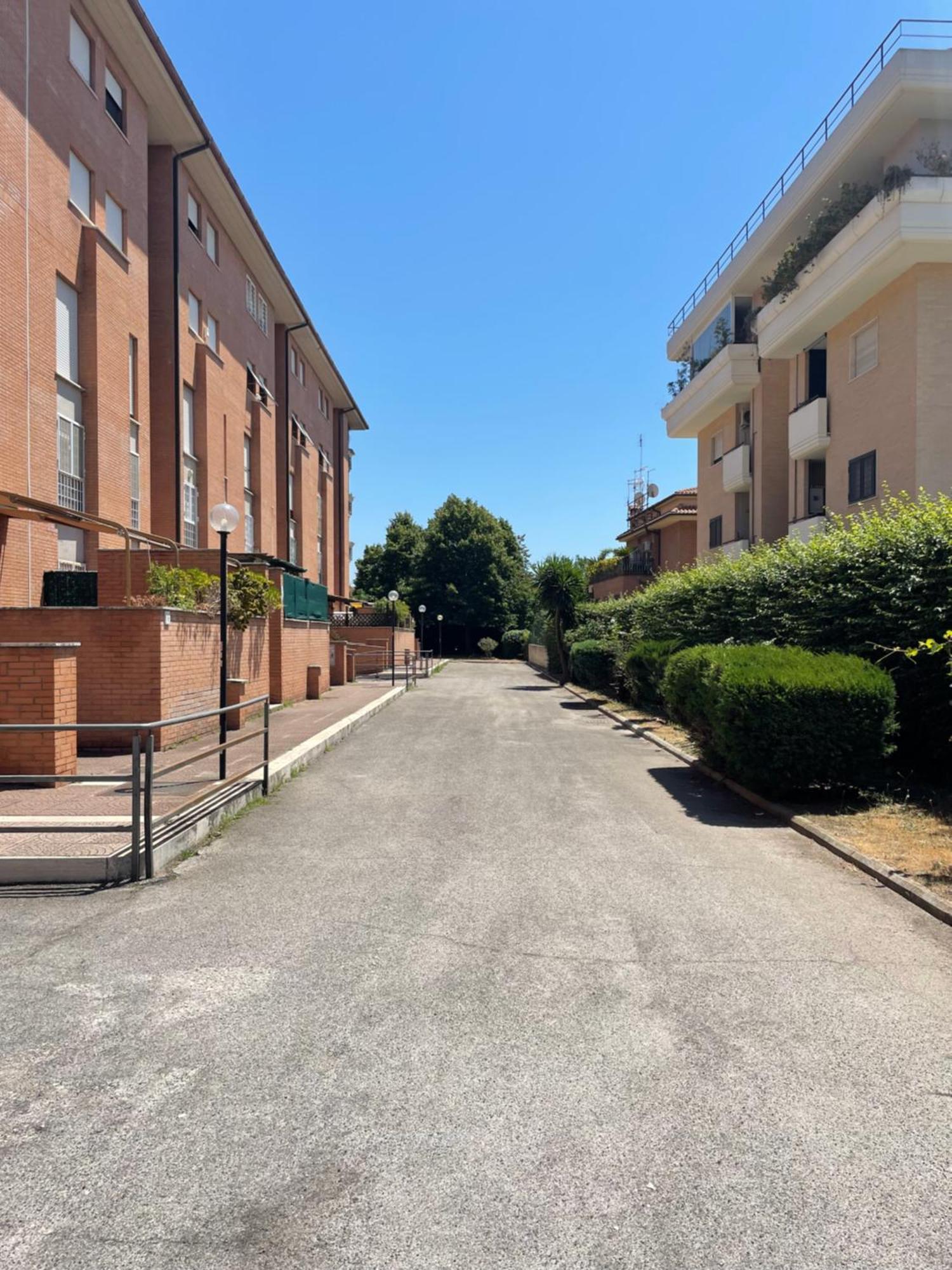 Apartment Anagnina