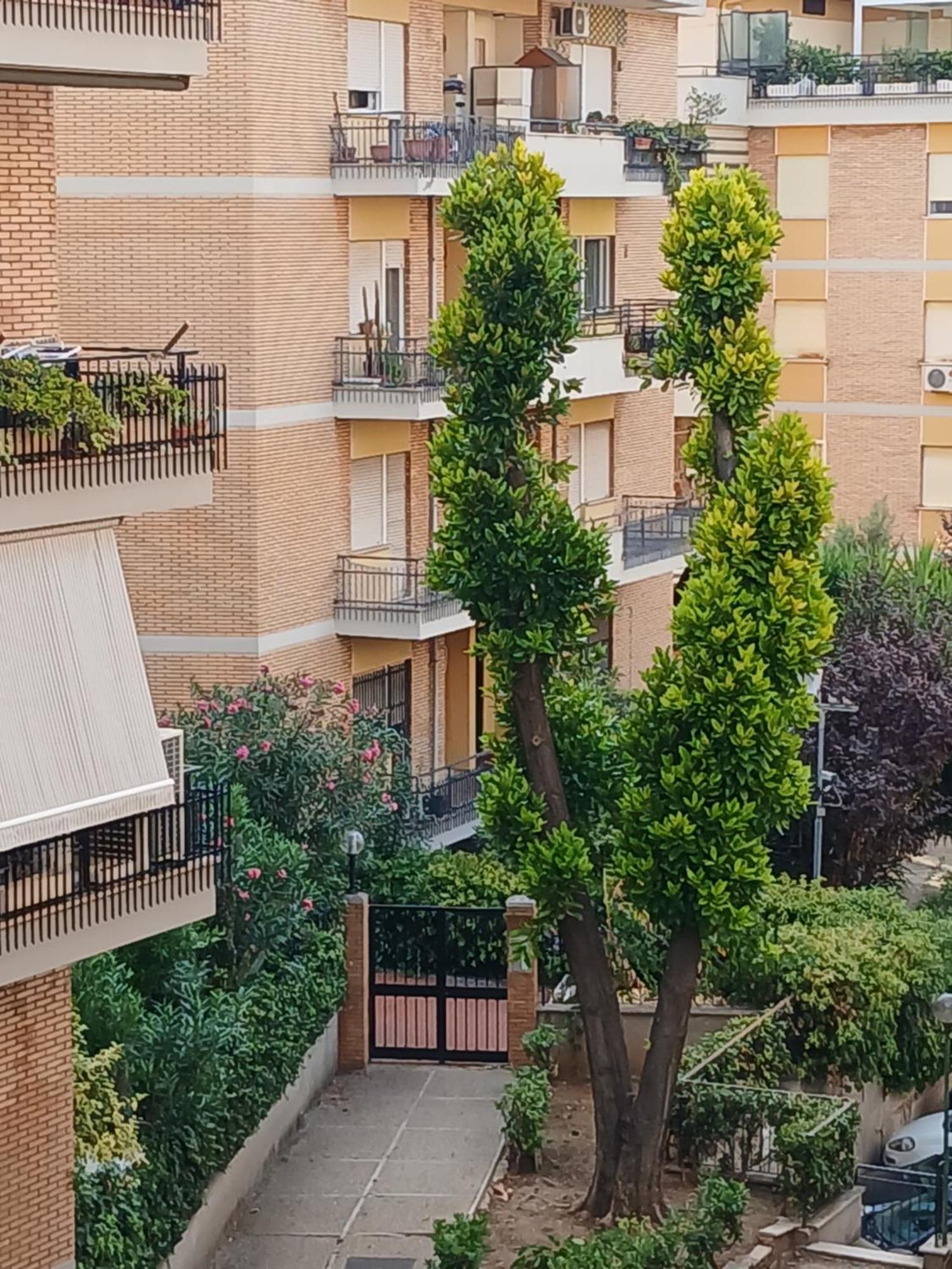 Apartment La Casa Di Antonella E Giuseppe