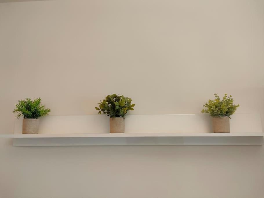 Kiara Apt Trastevere Apartment *