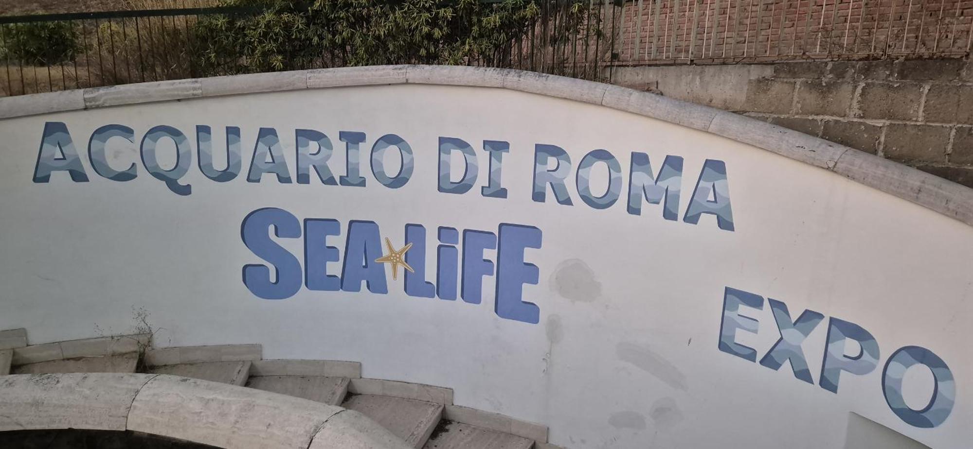 Eur Fenix Free Parking Family Apartment Rome