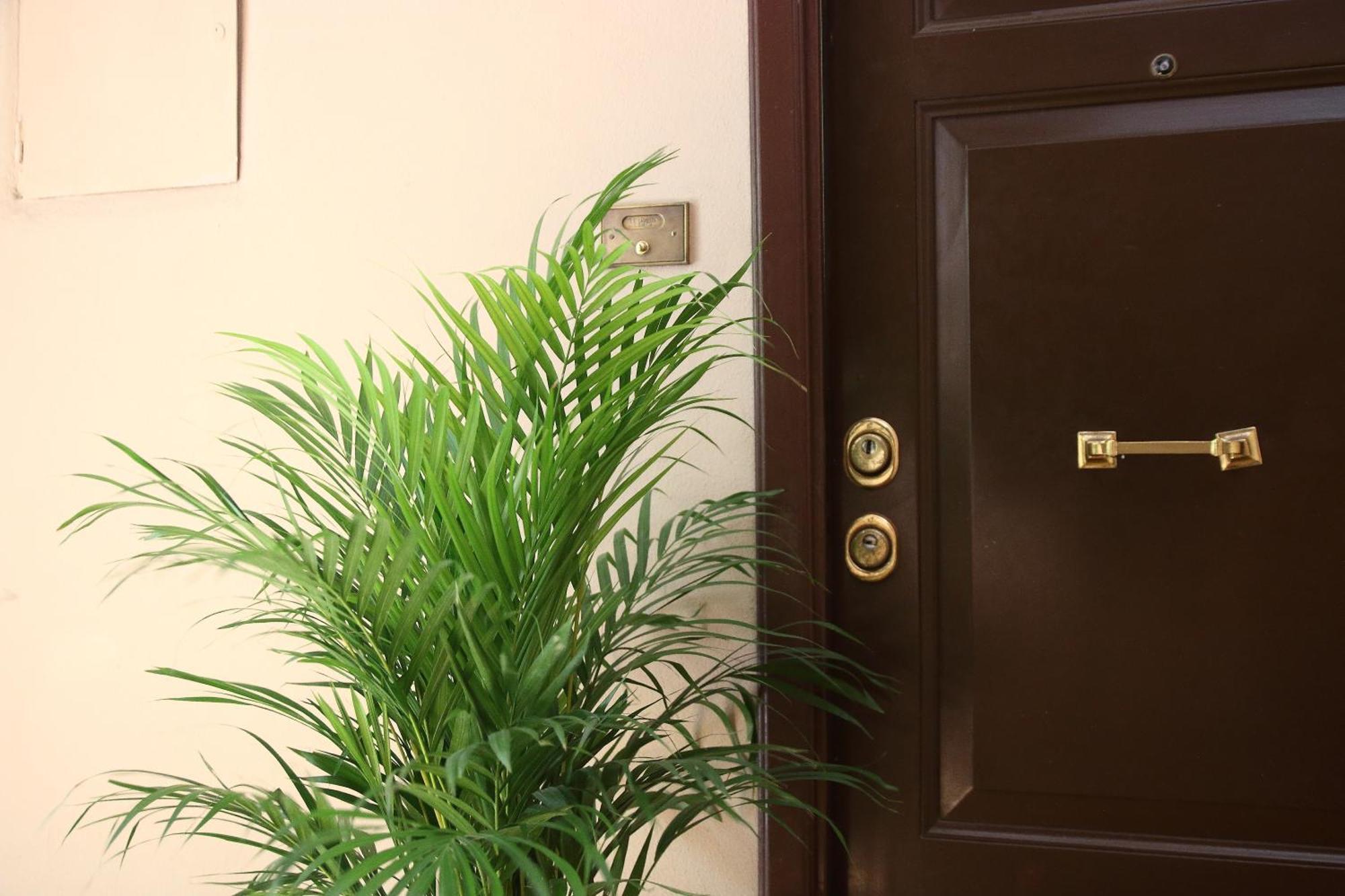 Apartment Deco Garden Trastevere Rome