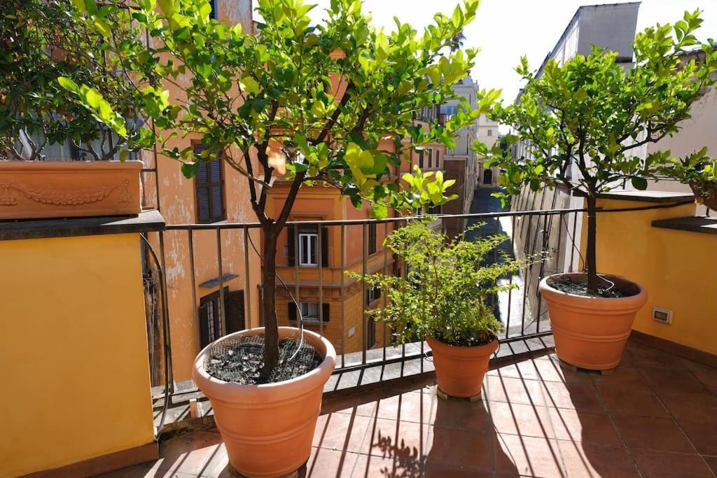 Panoramic Quirinal Penthouse Apartment