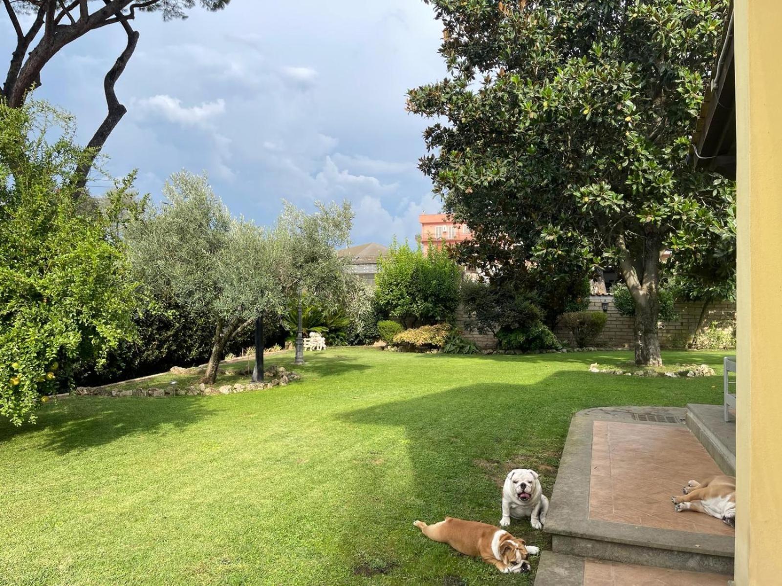 Paradise * Rome