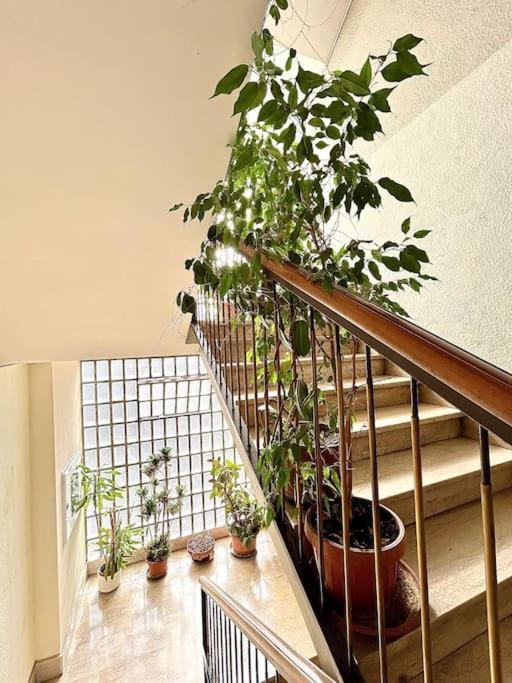 Homestay Ostiense