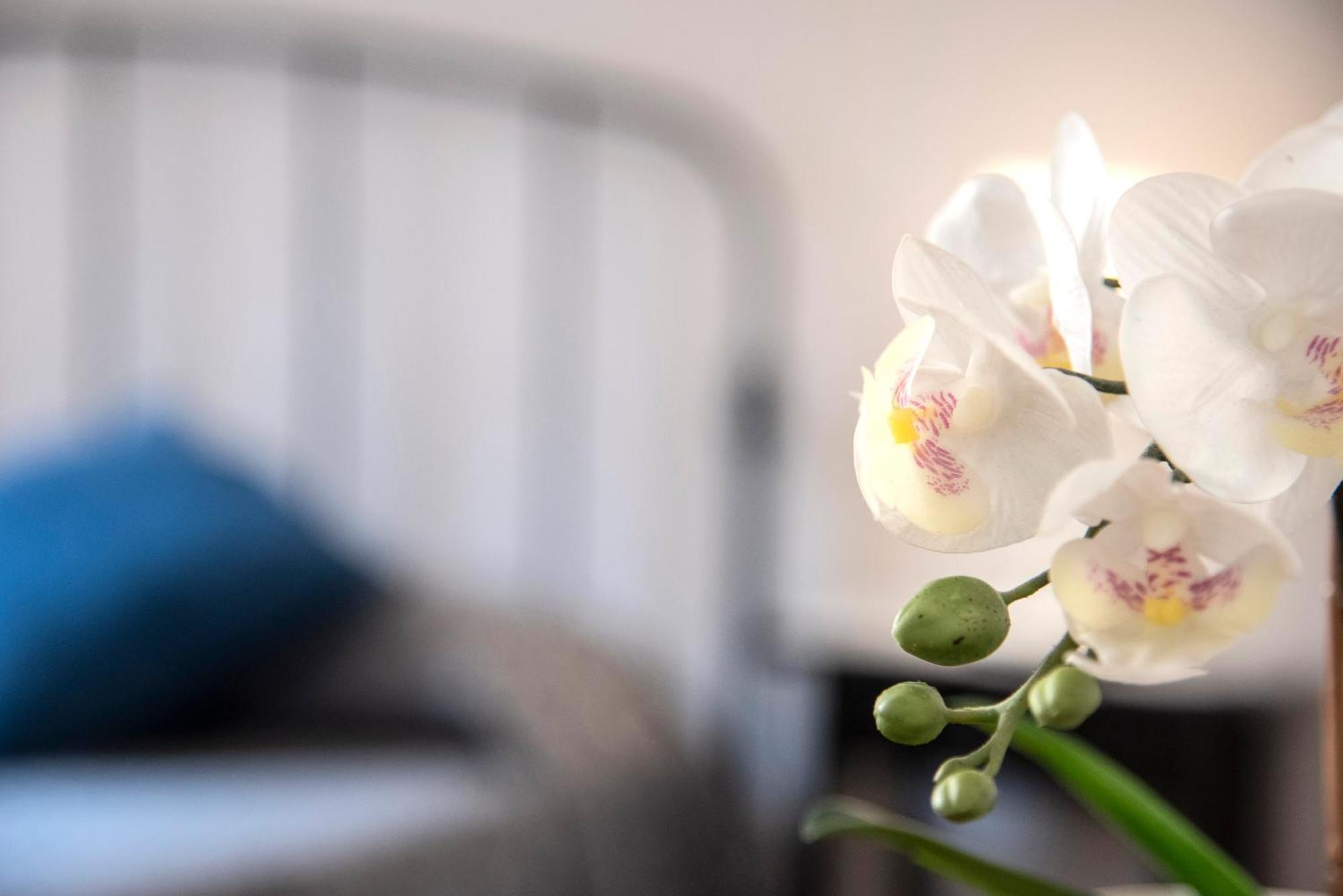 Guest house Gregorios San Pietro Rome