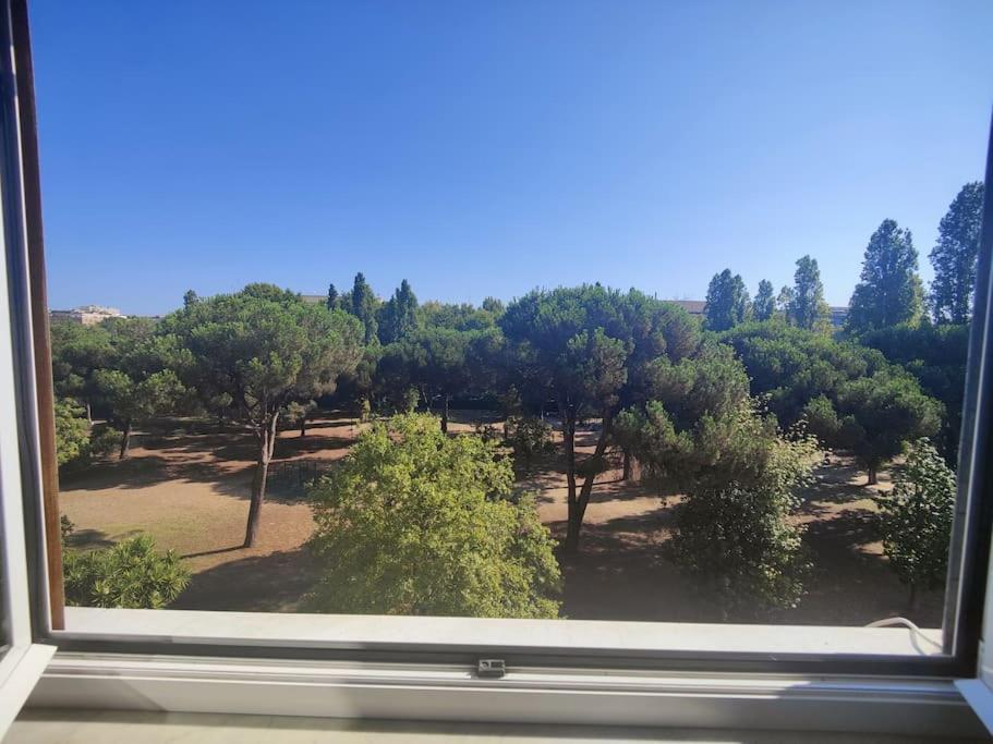 Culla Di Diego Box Auto, Sospesi Nel Cielo! Apartment Rome