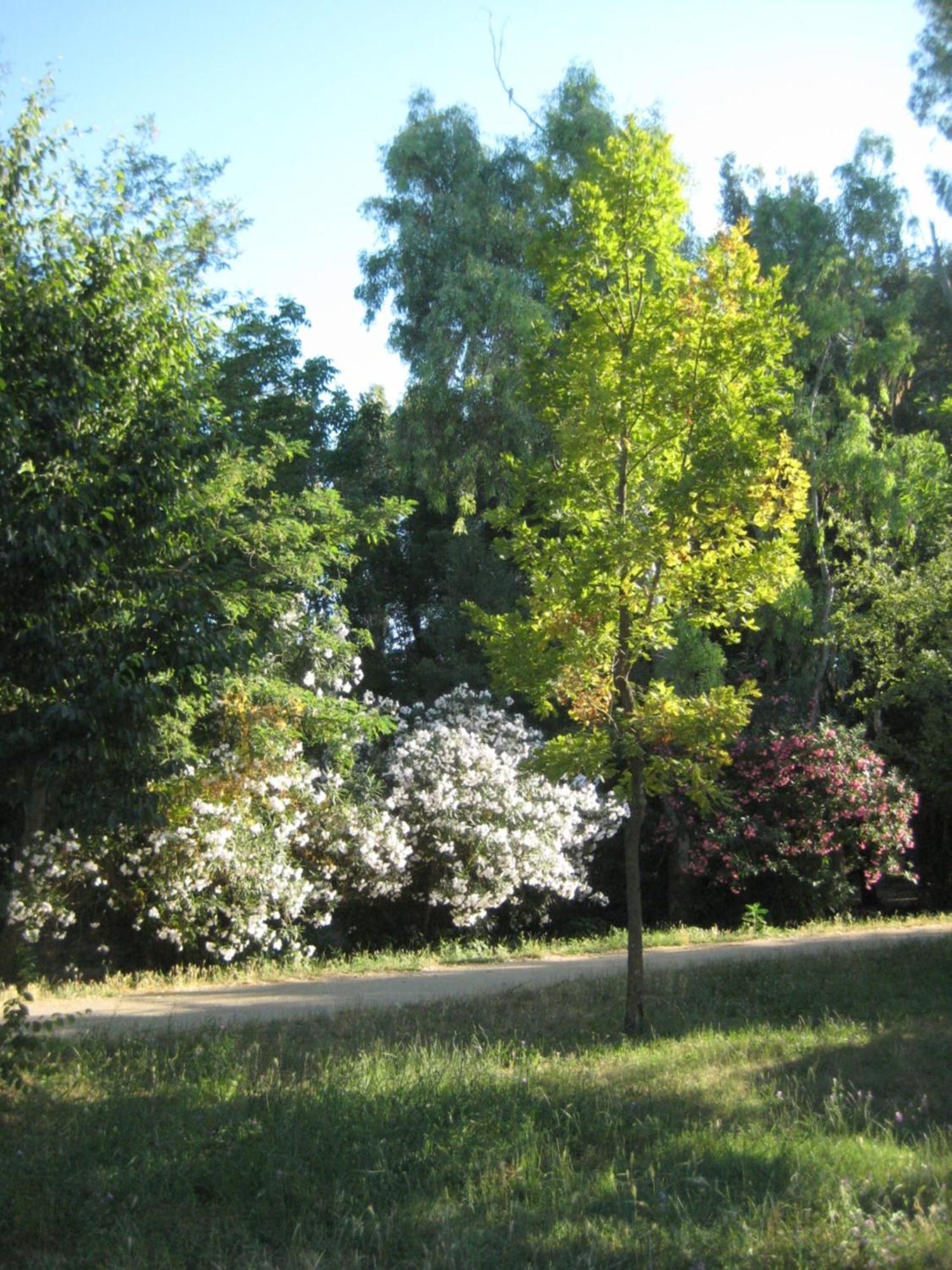 Appartamento La Casa Di Emy
