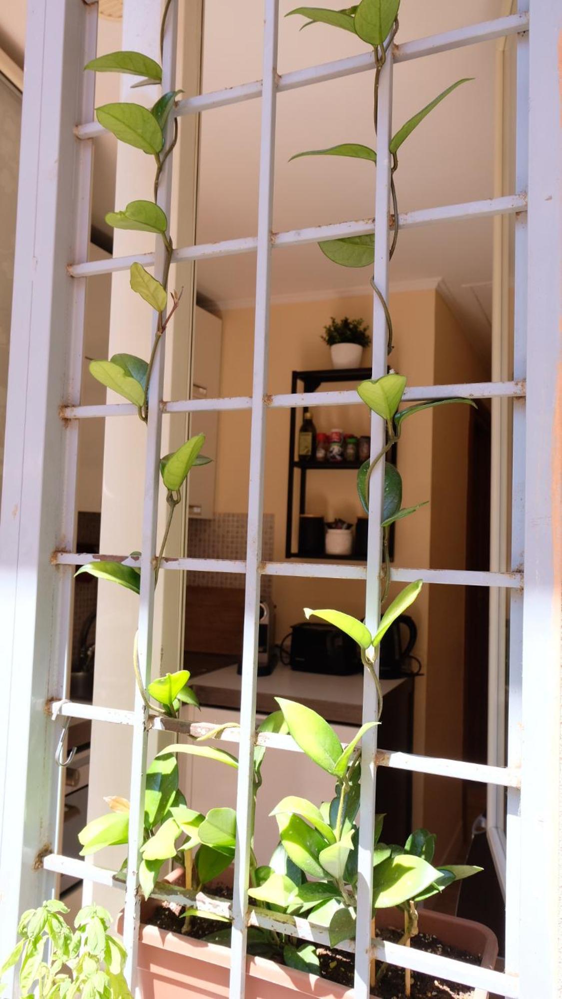 New! Station “termini” Loft * Rome