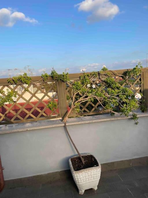 Terrazza Talenti *