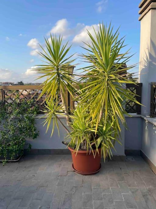 Apartment Terrazza Talenti