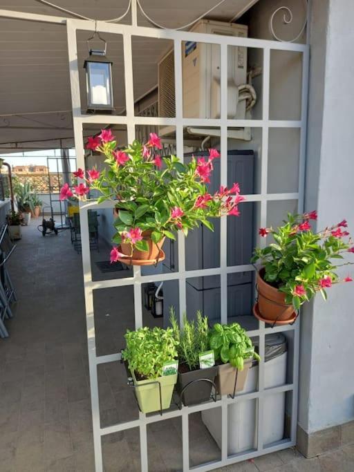 Apartment Terrazza Talenti Rome