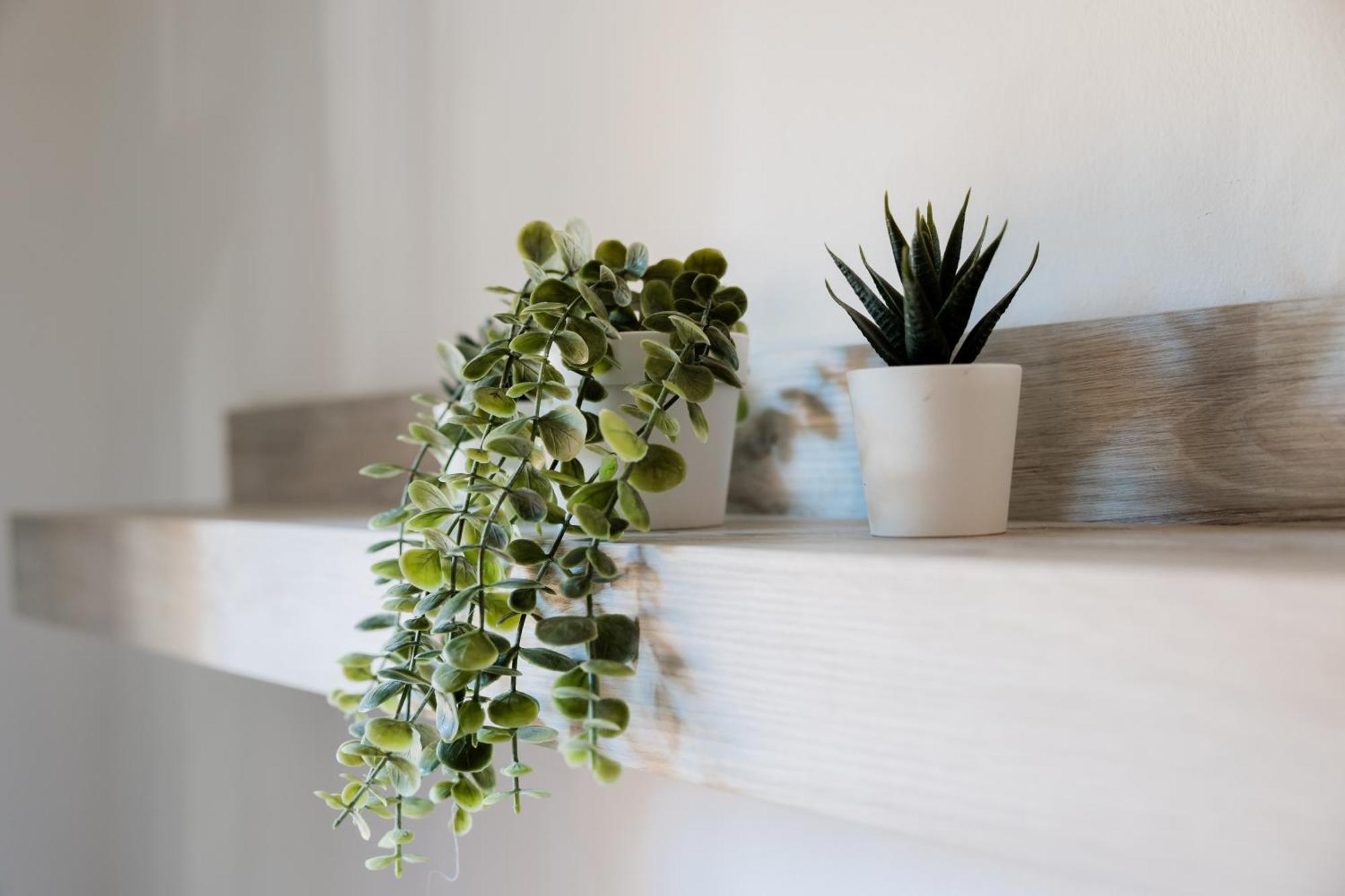 Appartamento Montagnola Mini House Roma