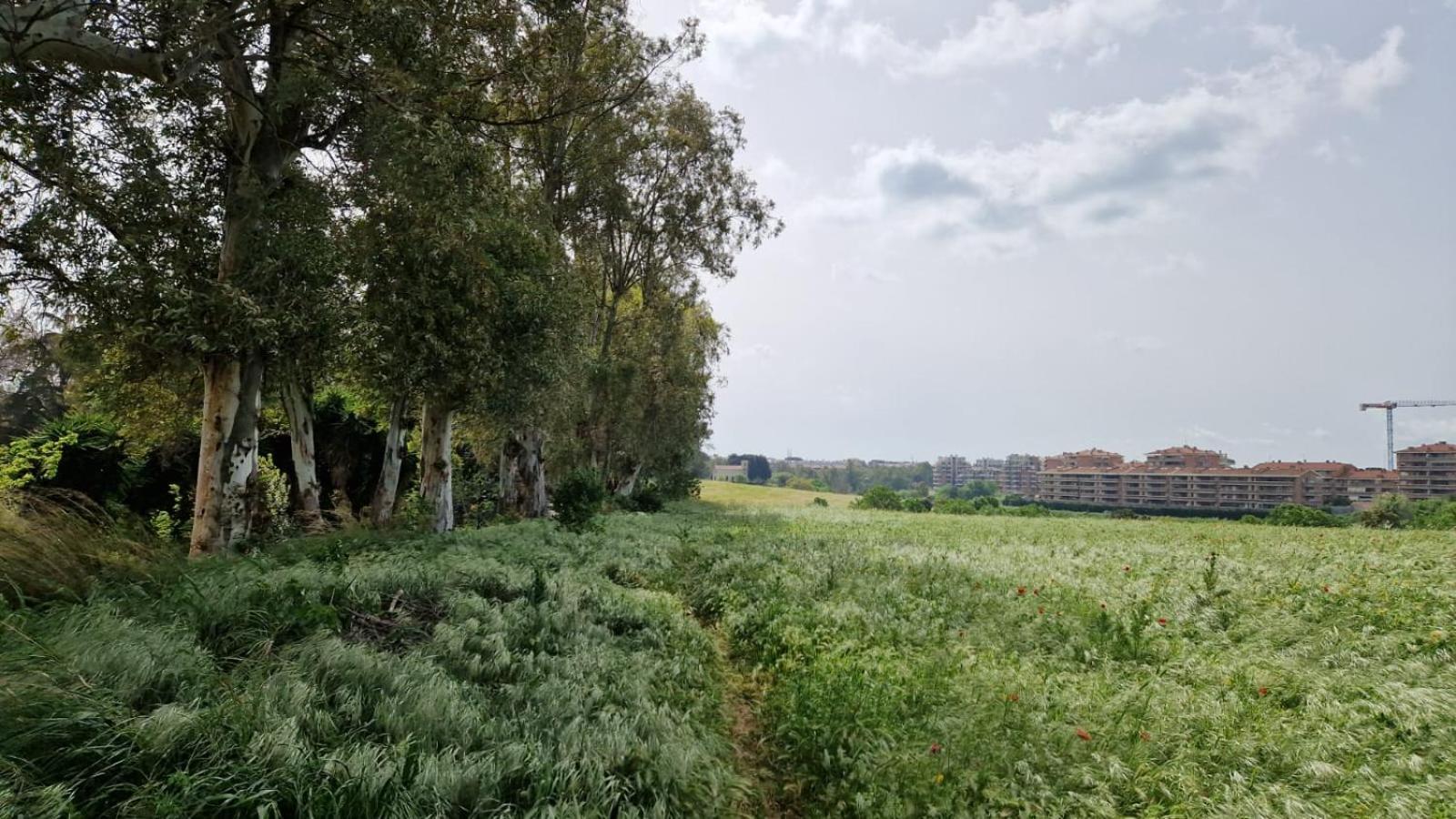 La Stanza Degli Abeti Blu Alloggio in famiglia *