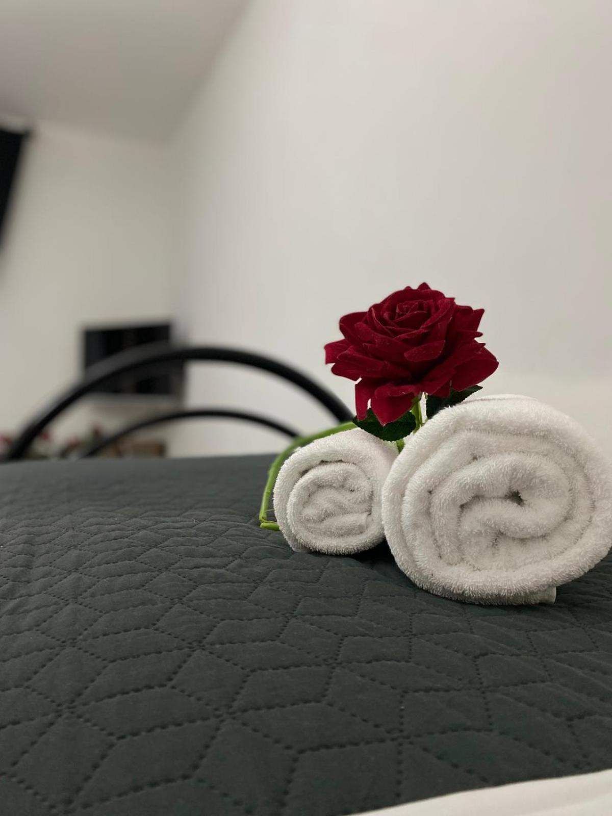 Red Roses Domus Appartamento