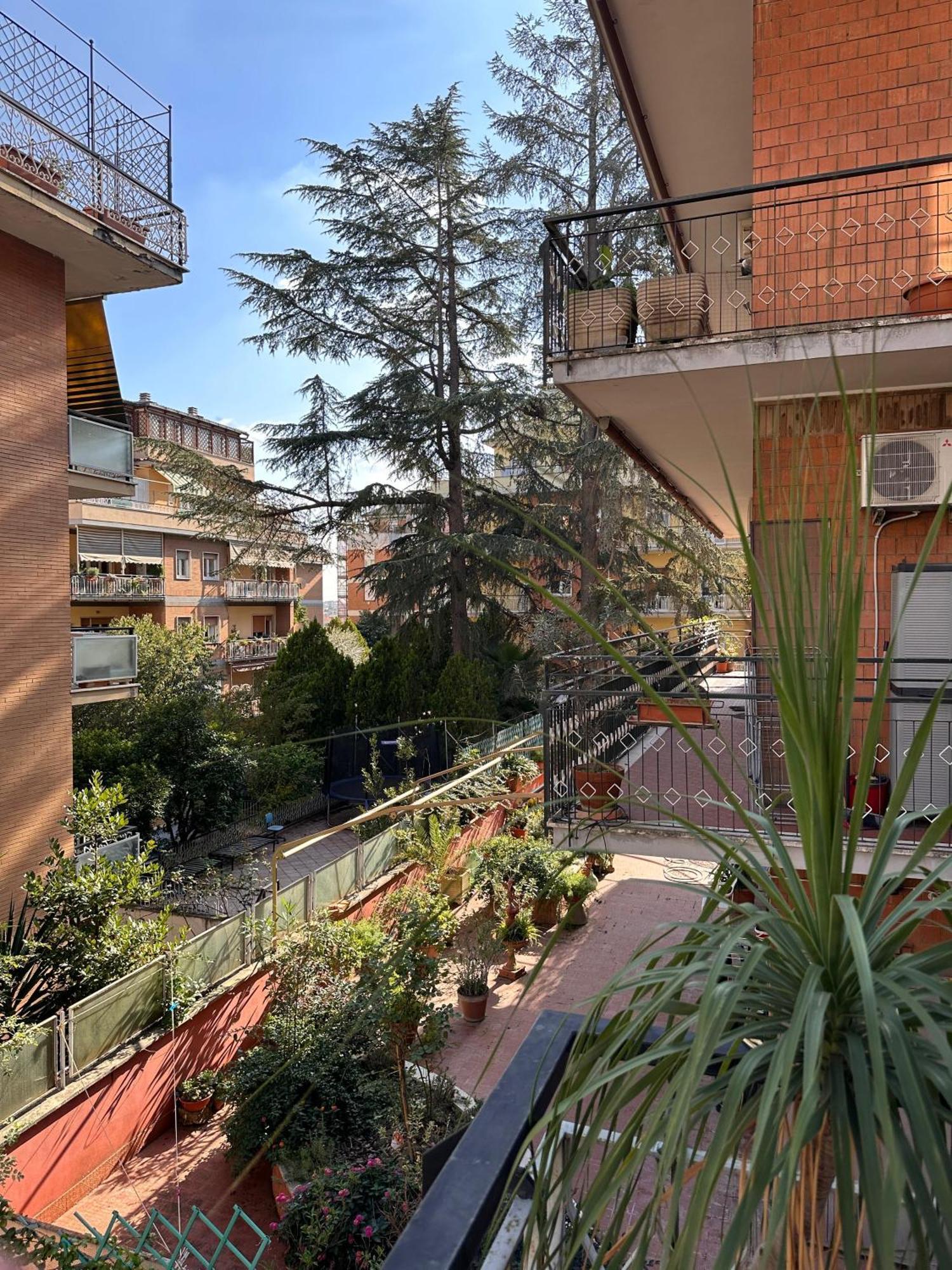 Homestay Pamphili House