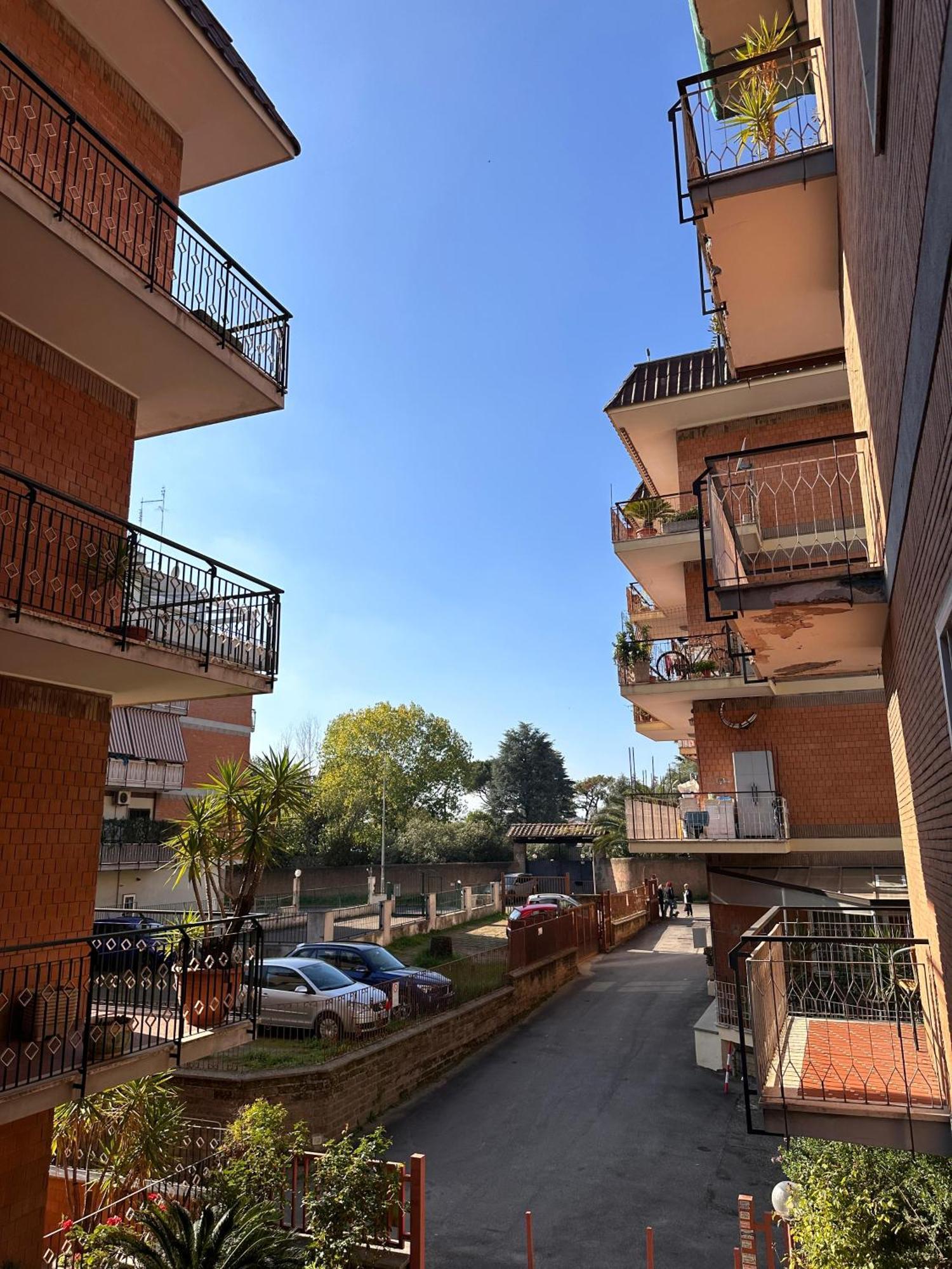 Homestay Pamphili House *