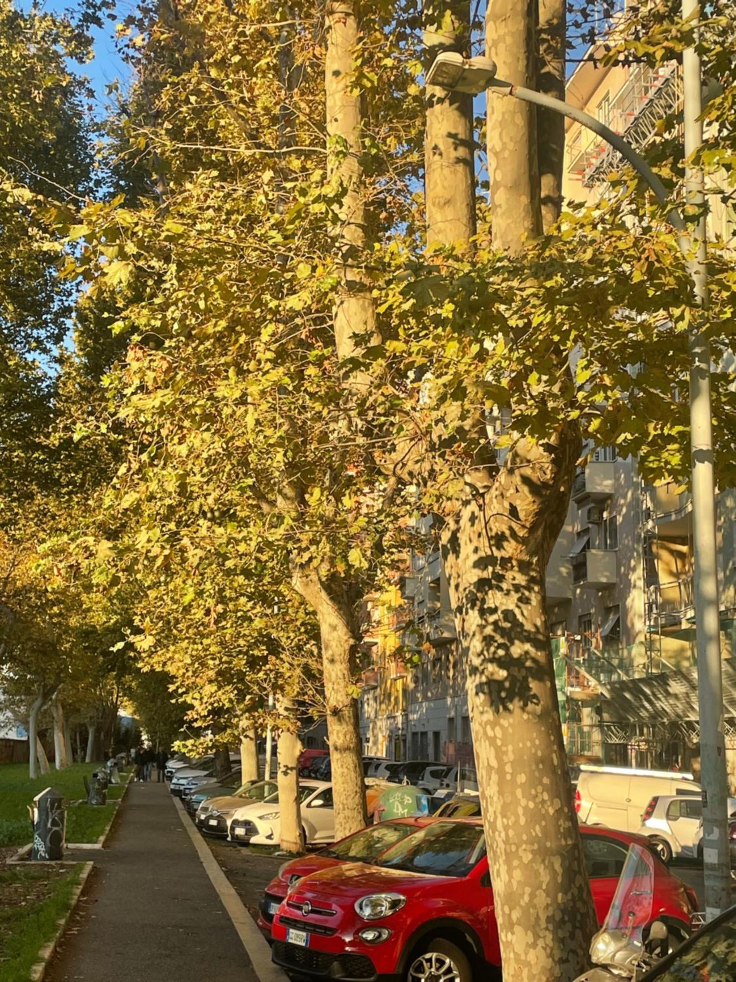 Apartment Stepahouse Zona San Paolo Elegante Bilocale A 2 Minuti Dalla Metro B *