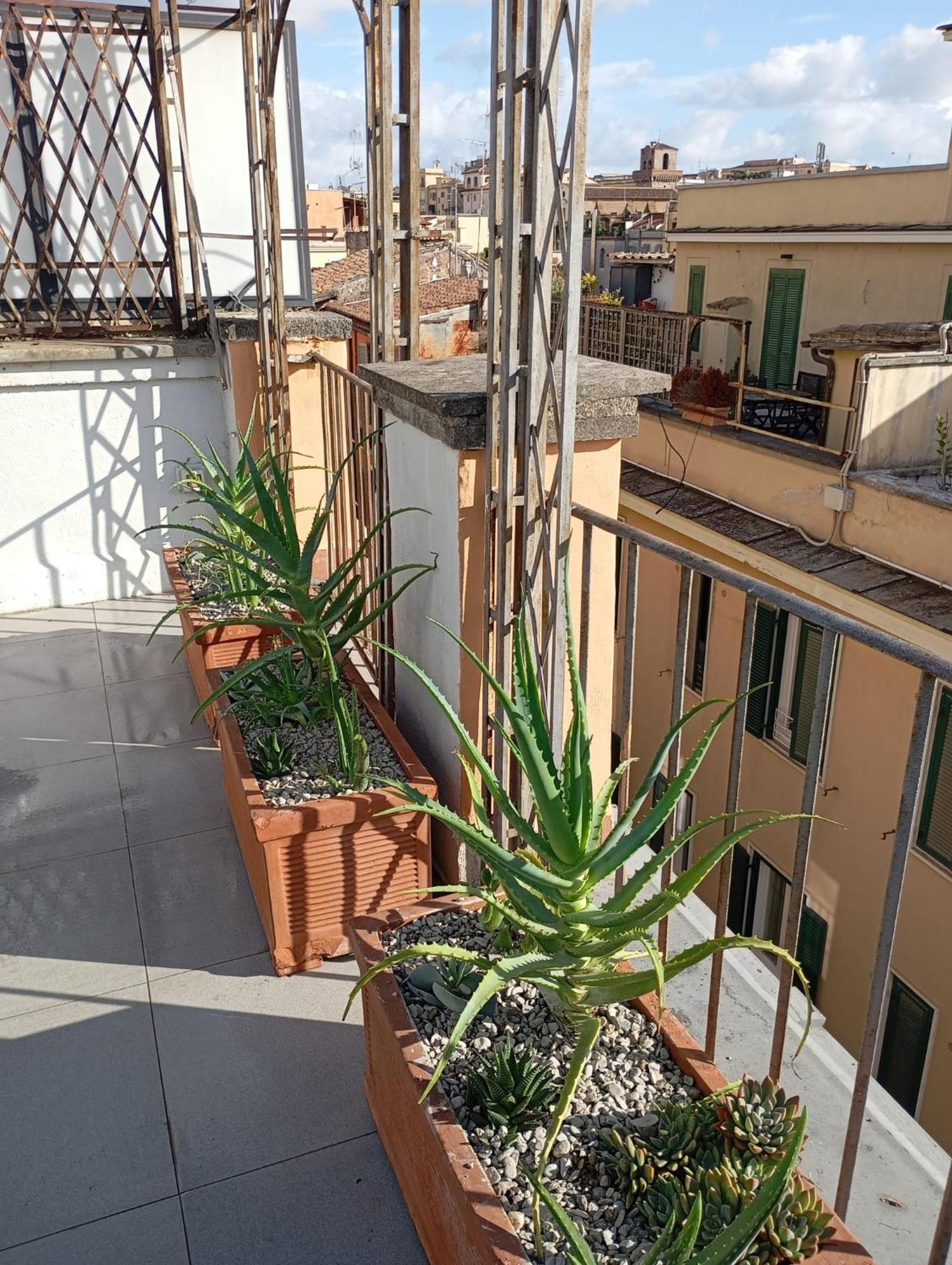 Appartamento Colosseum Exclusive Duplex