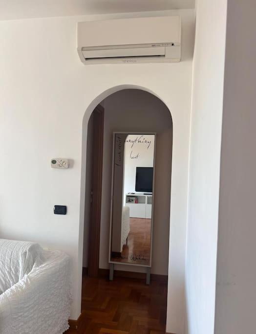 Premium Papillo * Rome