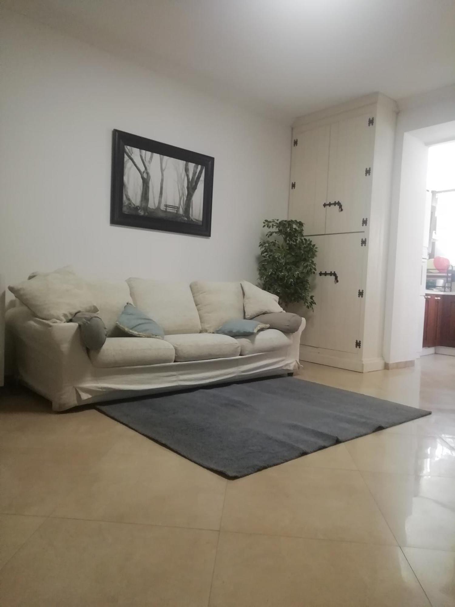 Domus Albanella Apartment
