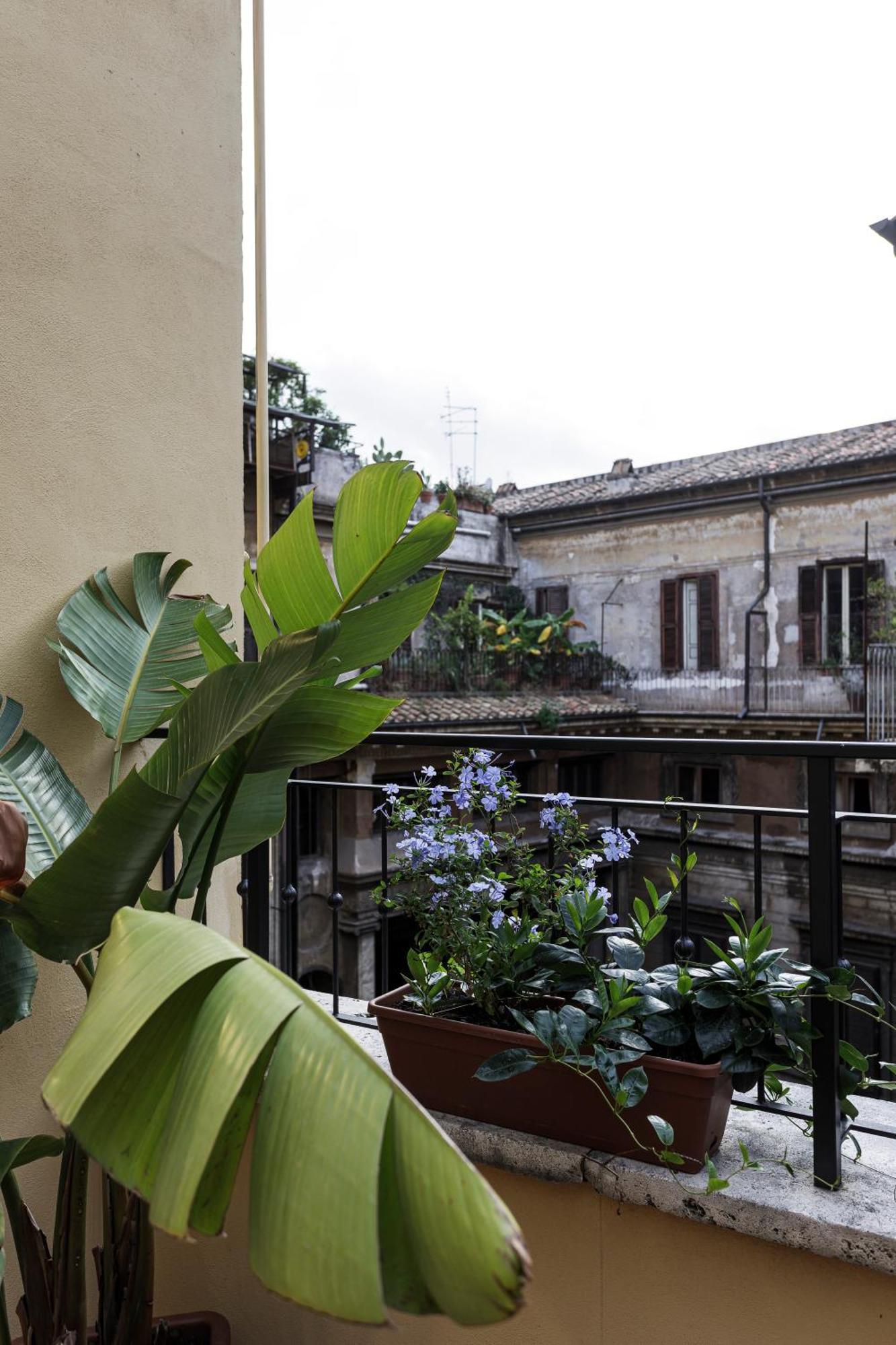 Sant'andrea *