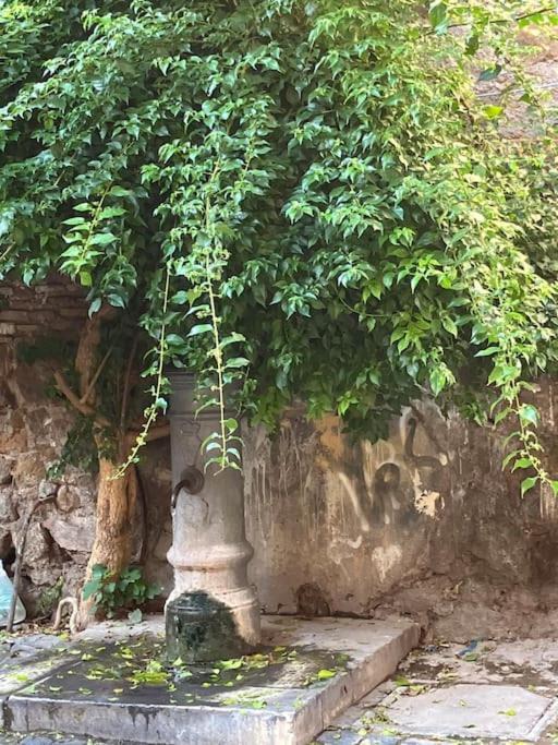 Apartment Amazing Terrace In Trastevere Rome