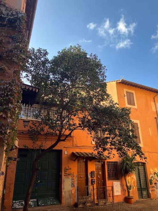 Amazing Terrace In Trastevere Rome
