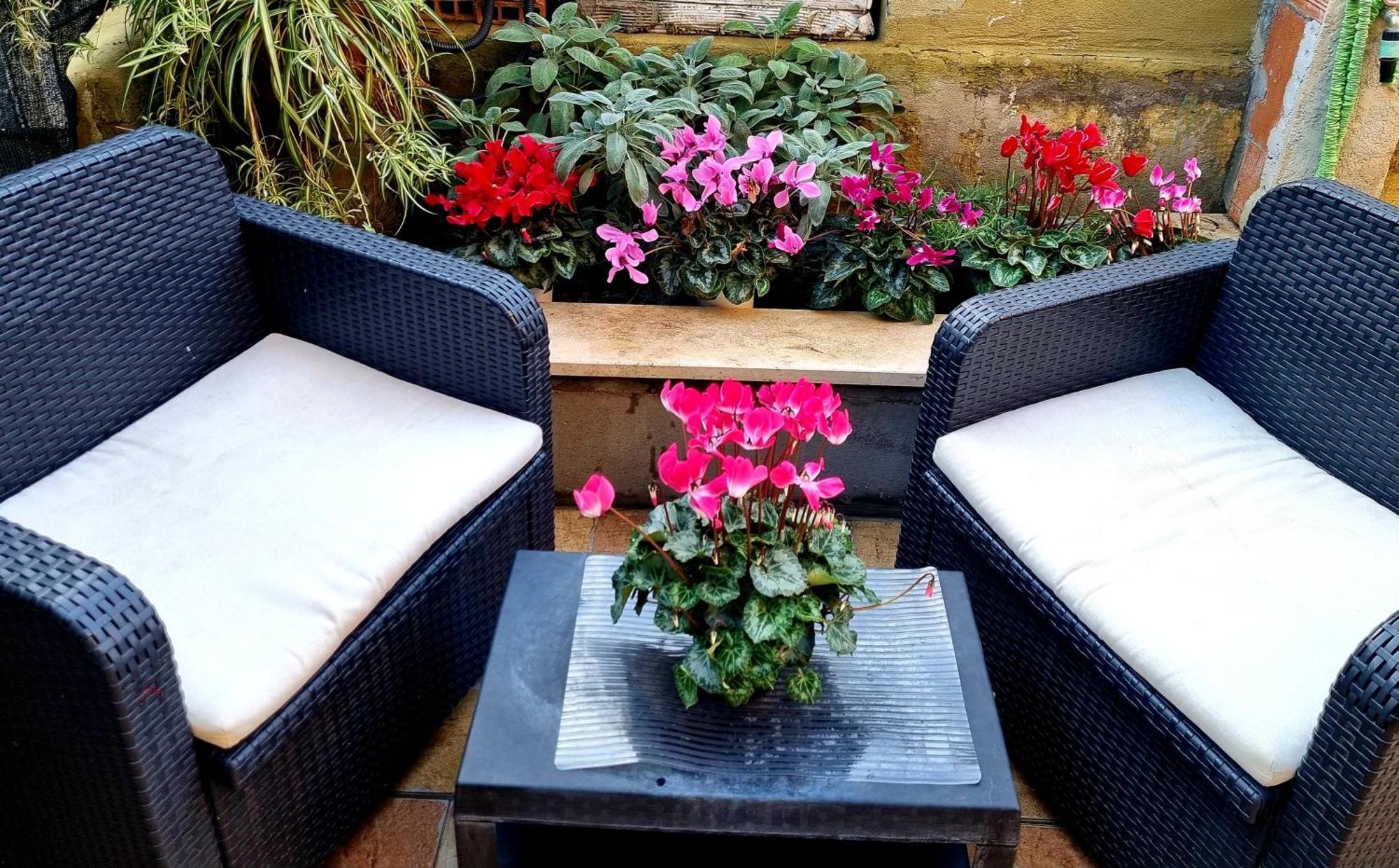 Cmhouselove Alessandrino Vicino Metro C Apartment Rome
